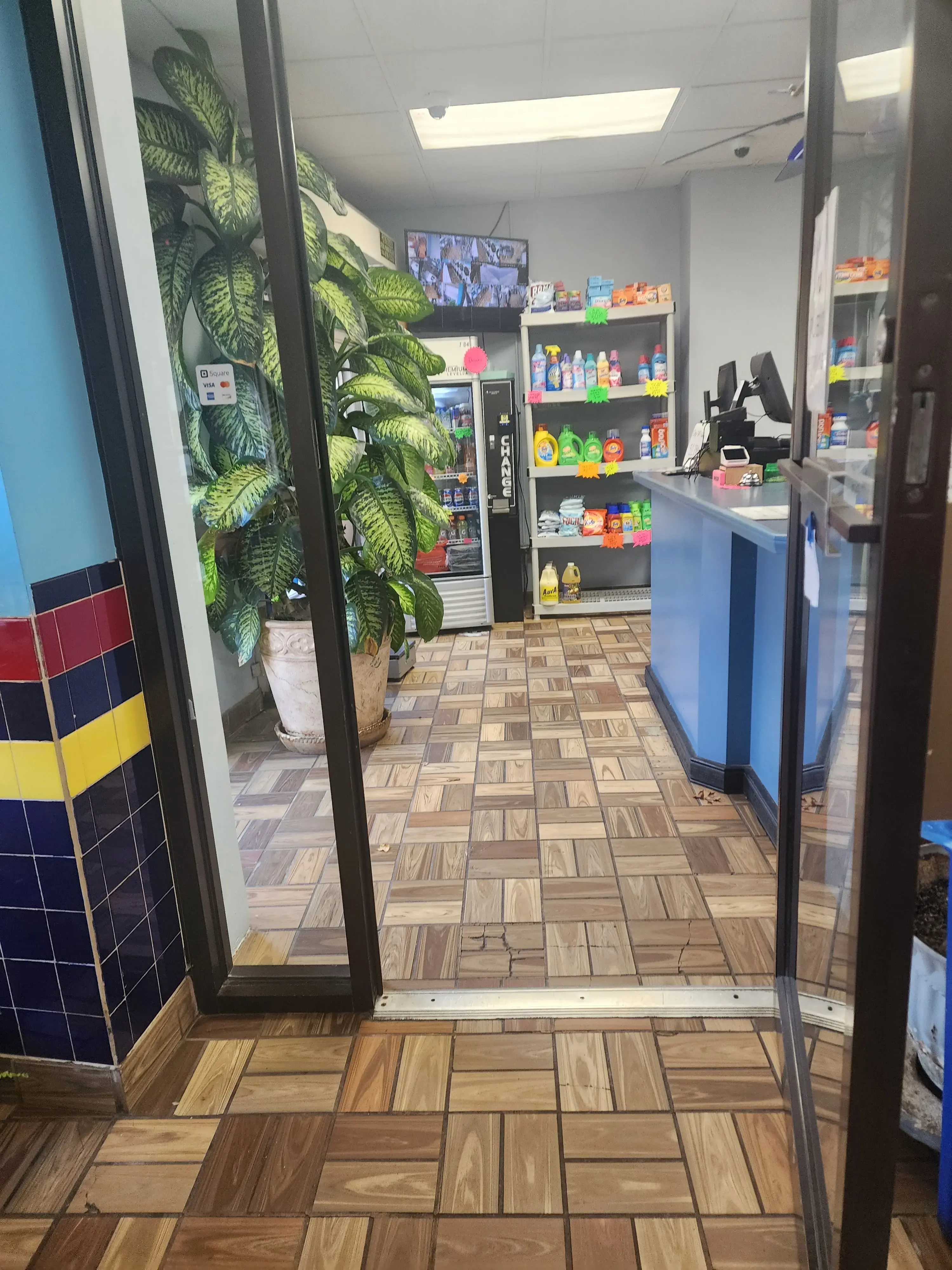 Garden Laundromat - Image 12
