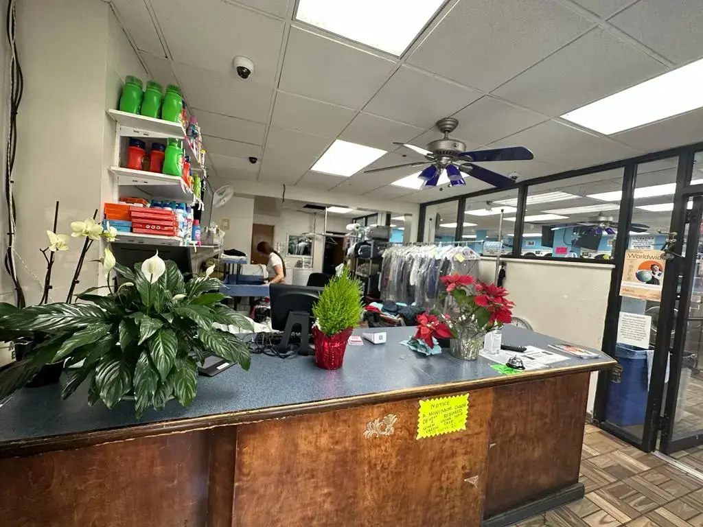 Garden Laundromat - Image 4