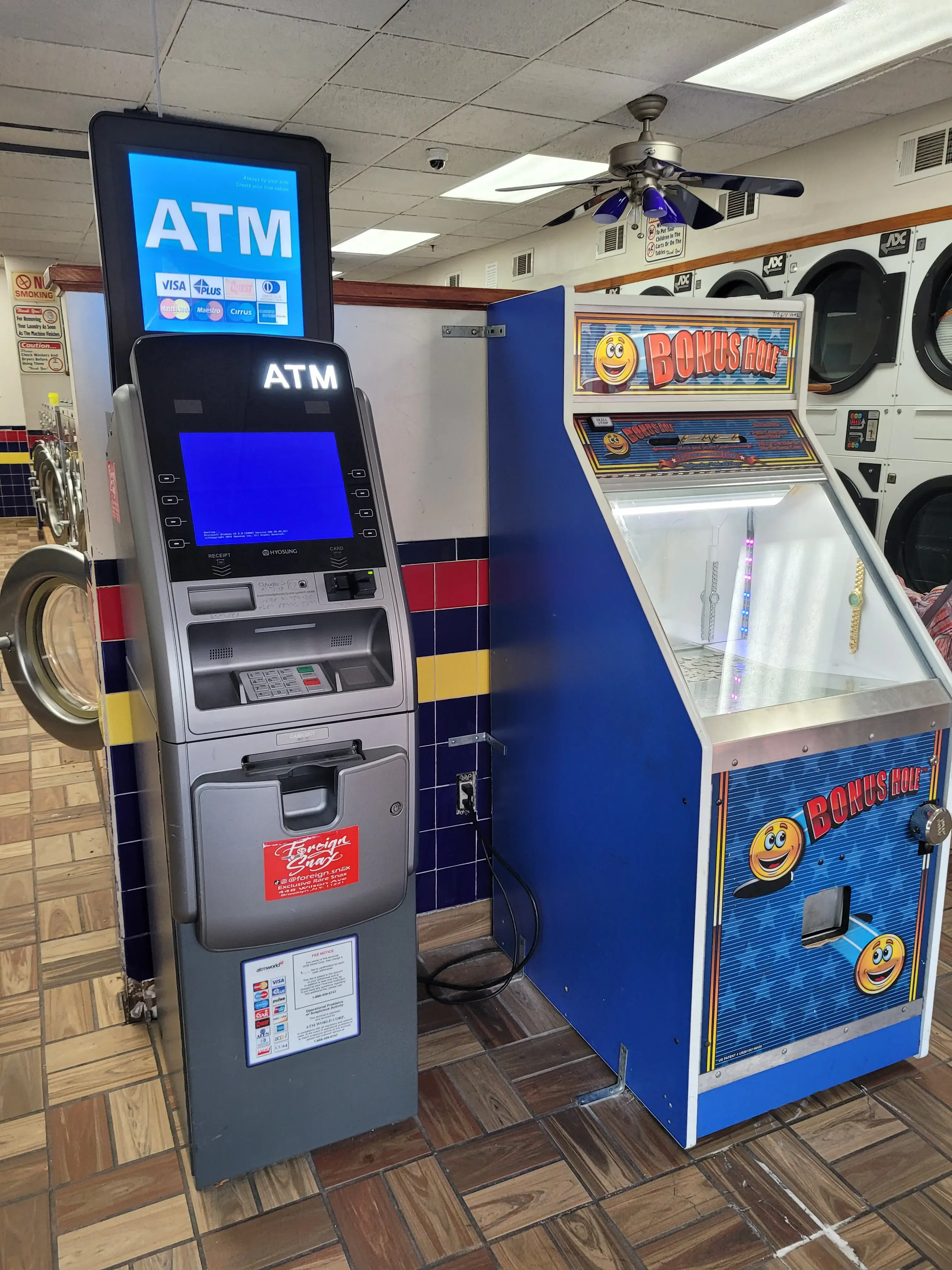 Garden Laundromat thumbnail 15