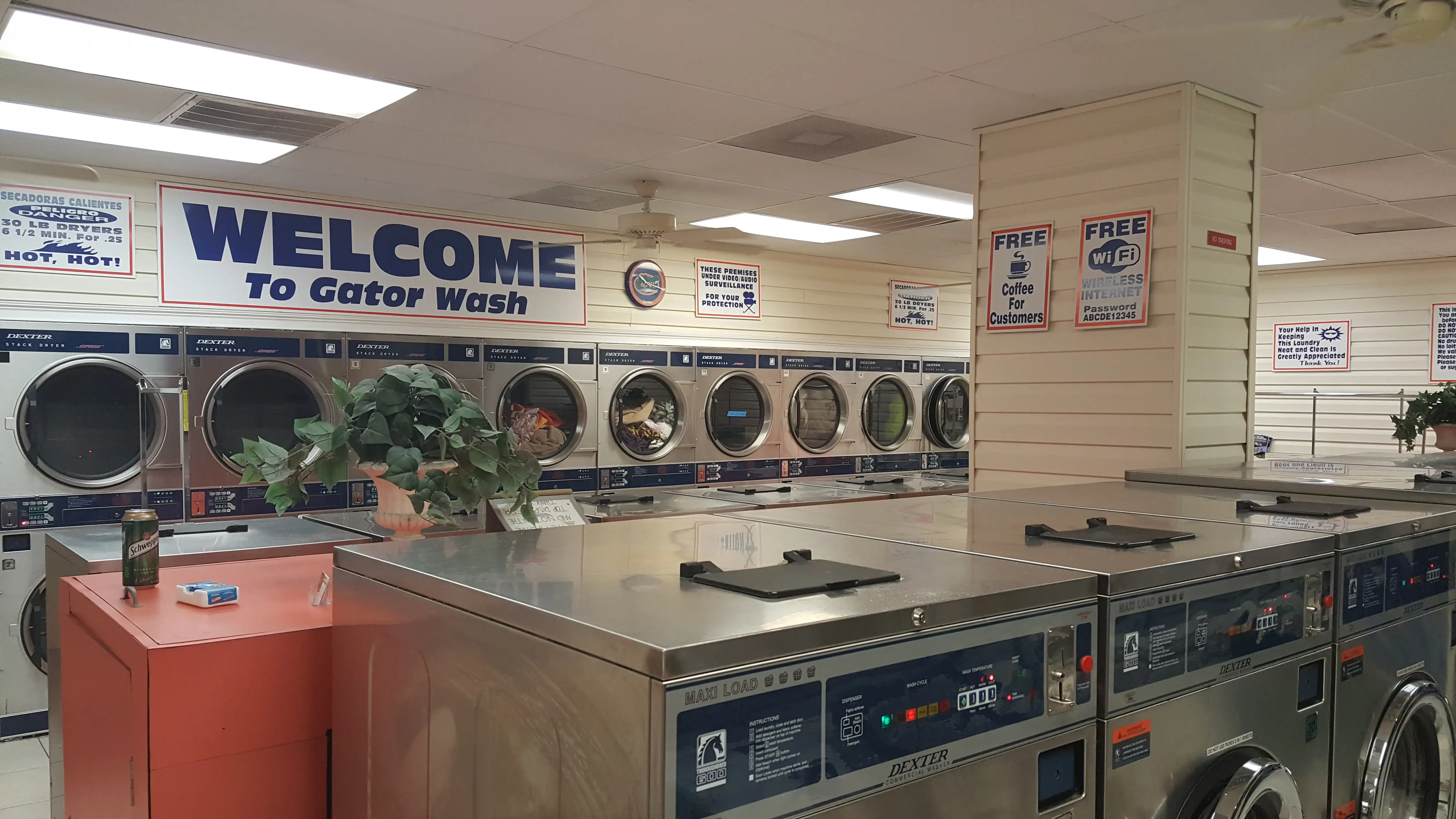 Gator Wash - Image 11