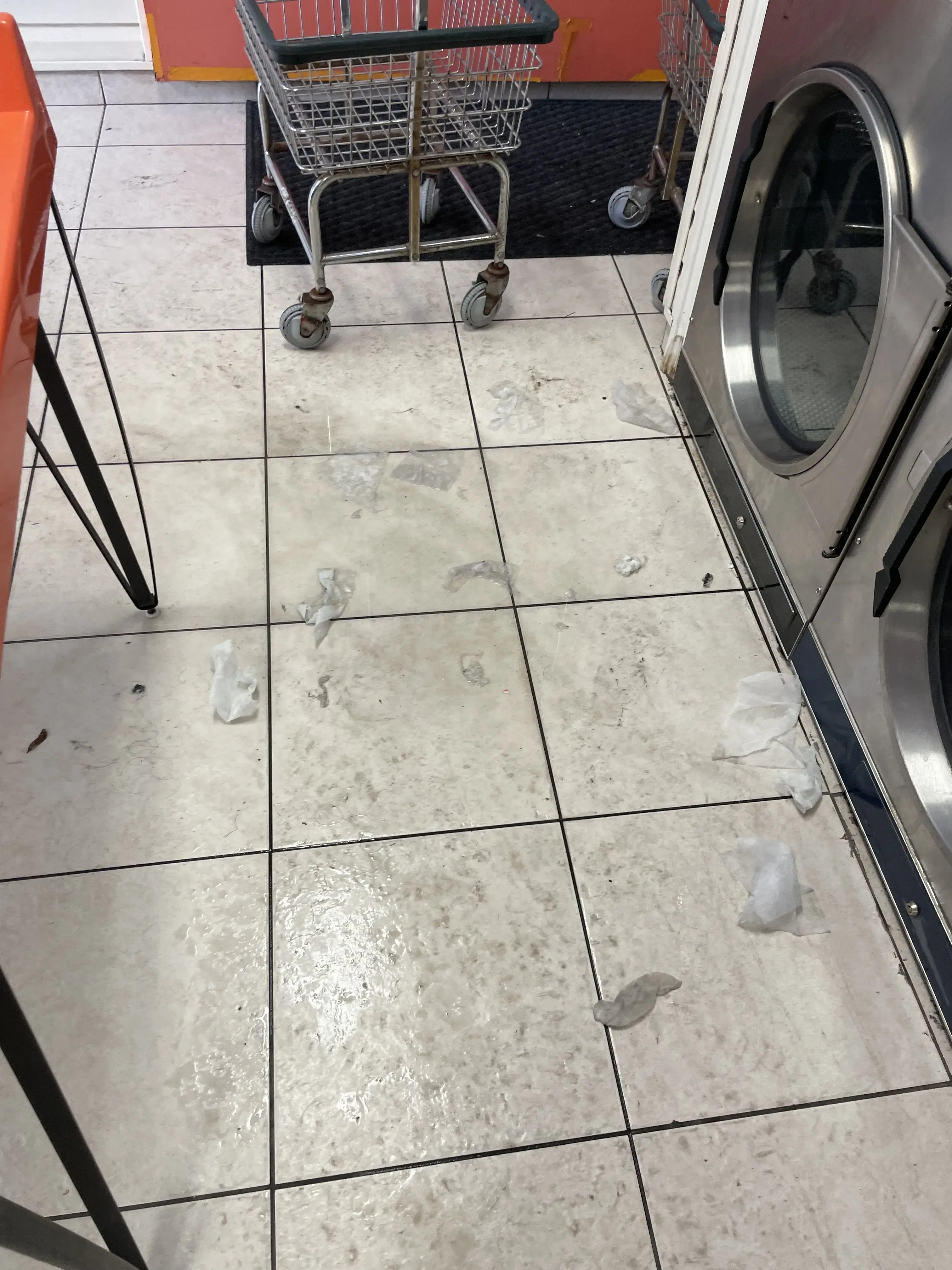 Gator Wash - Image 3