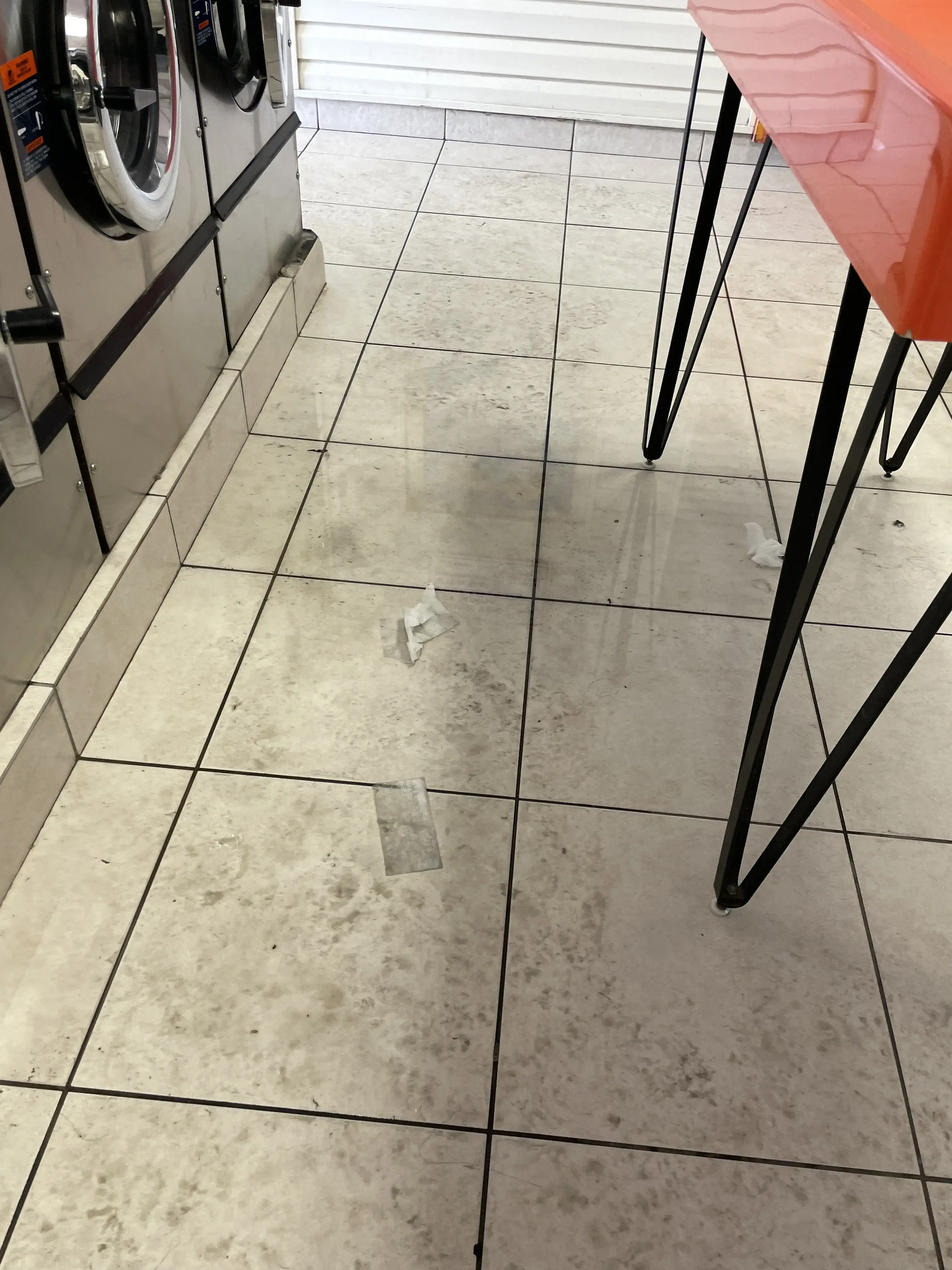 Gator Wash - Image 18