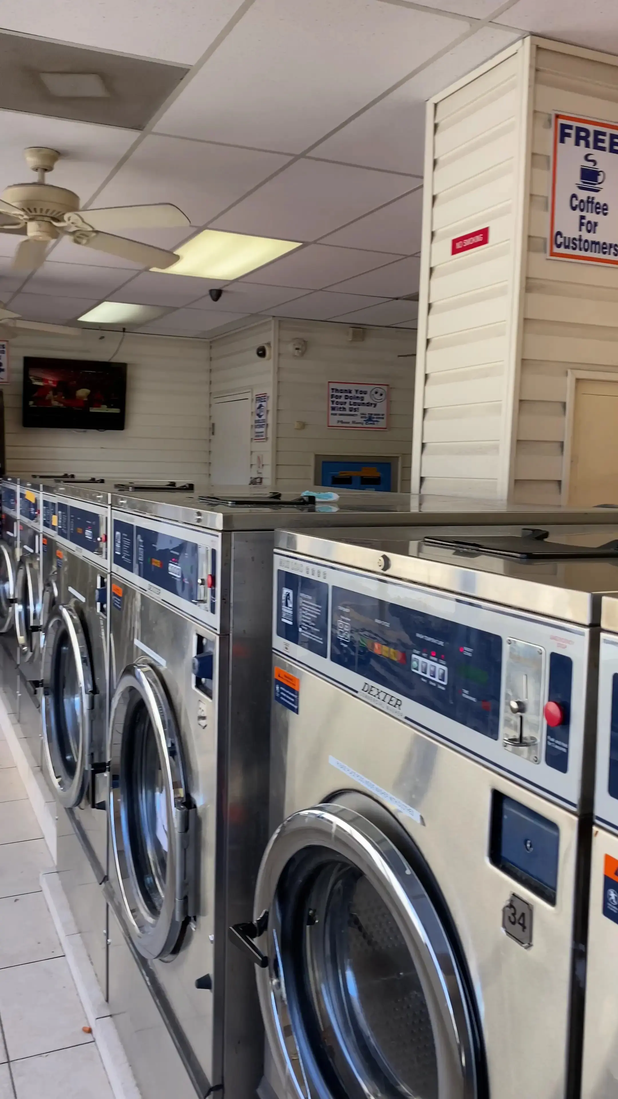 Gator Wash - Image 8
