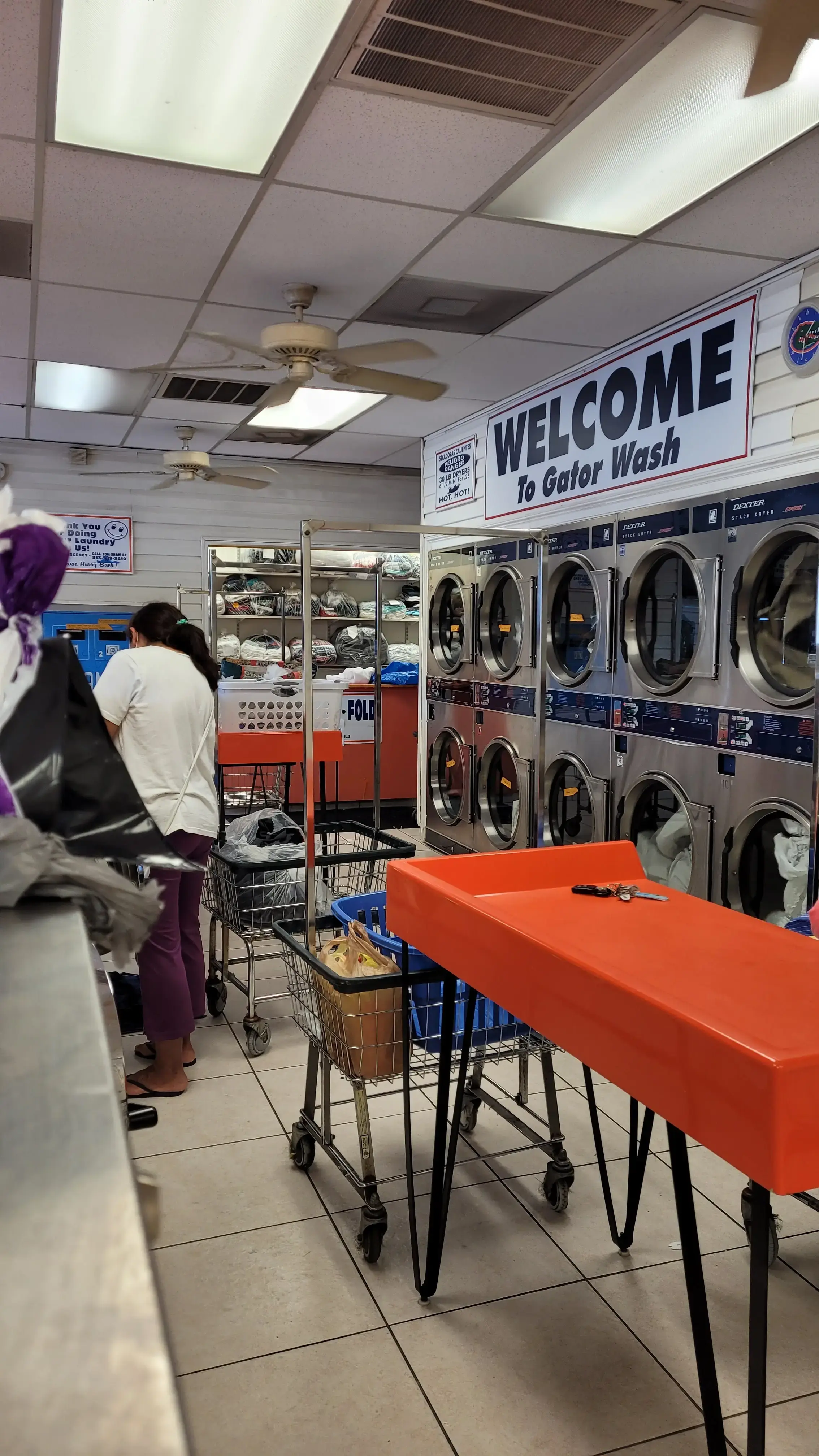 Gator Wash thumbnail 15