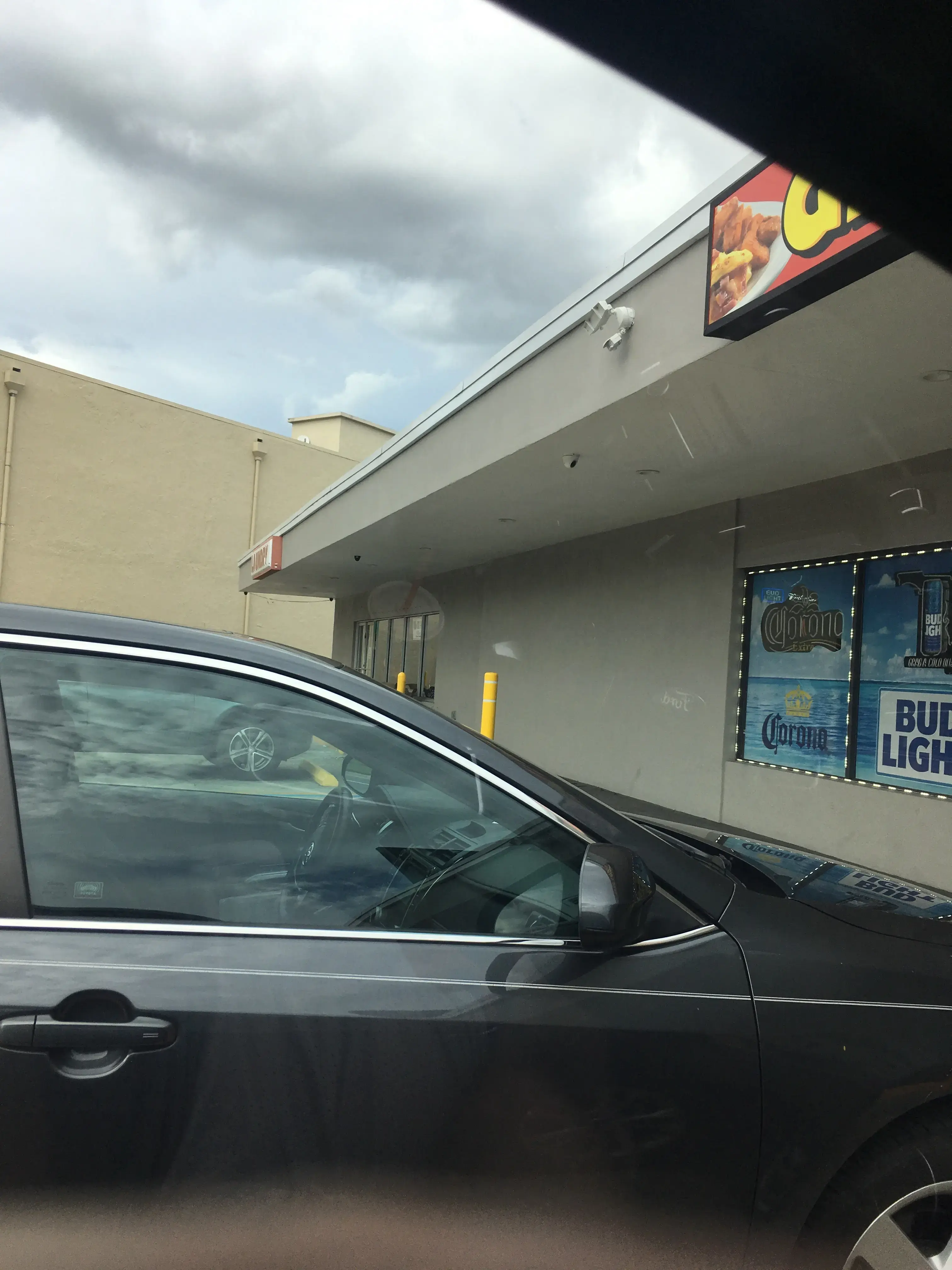 Gator Wash - Image 13