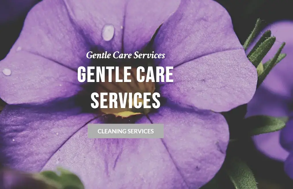 Gentle Care Cleaners location