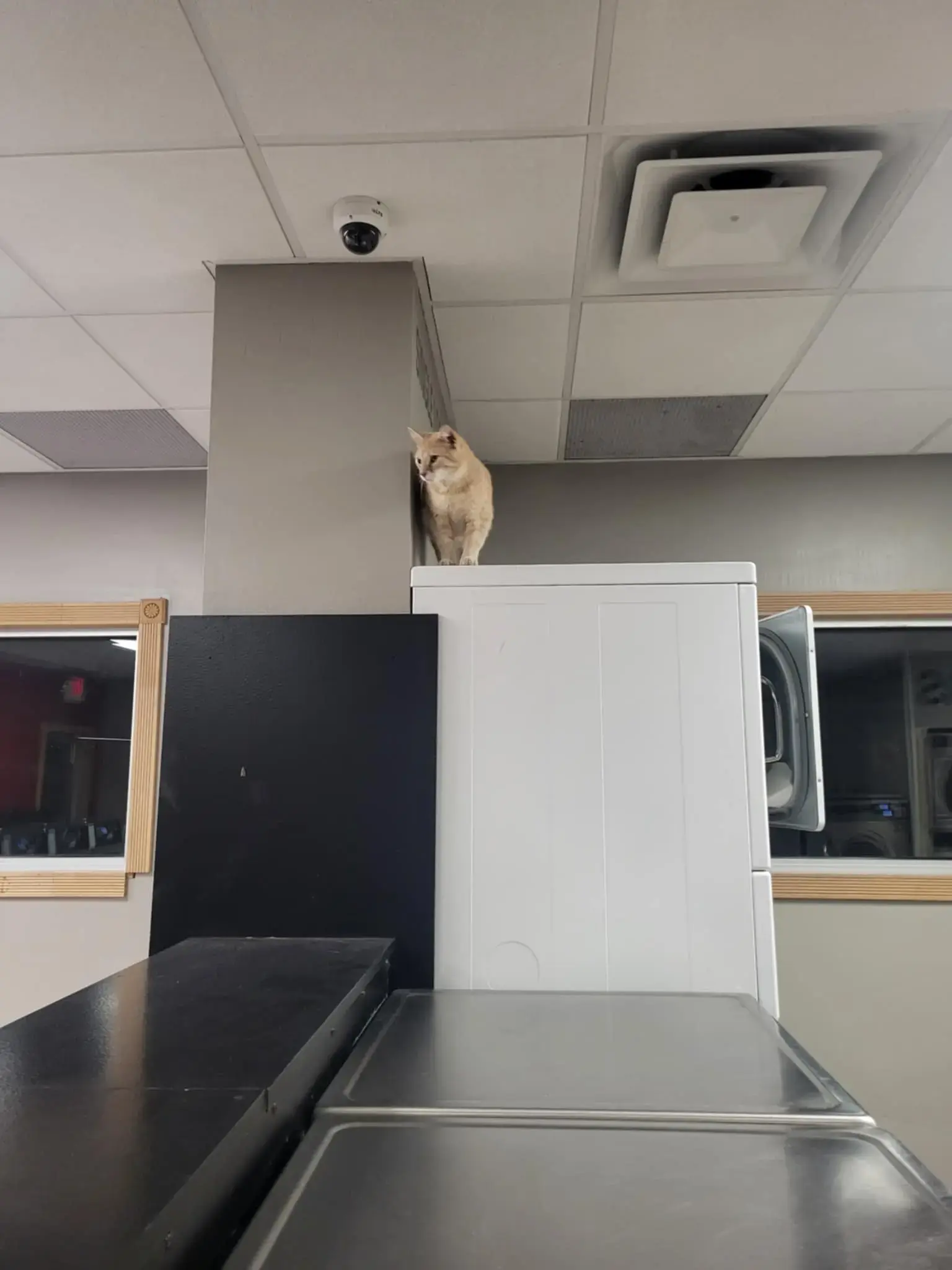 Giant Laundromats (DMG Laundry) thumbnail 9