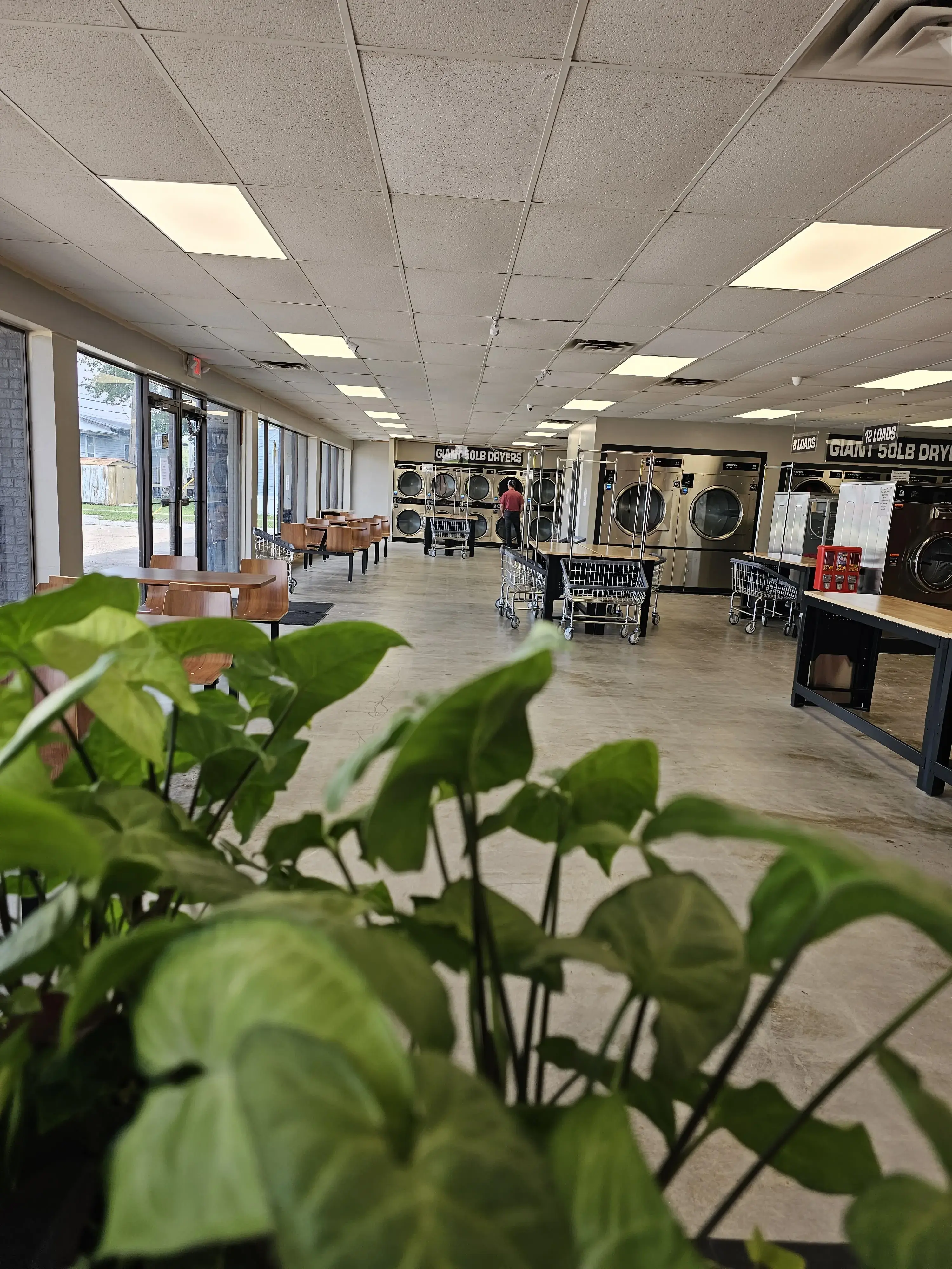 Giant Laundromats (Mega Load) - Image 18