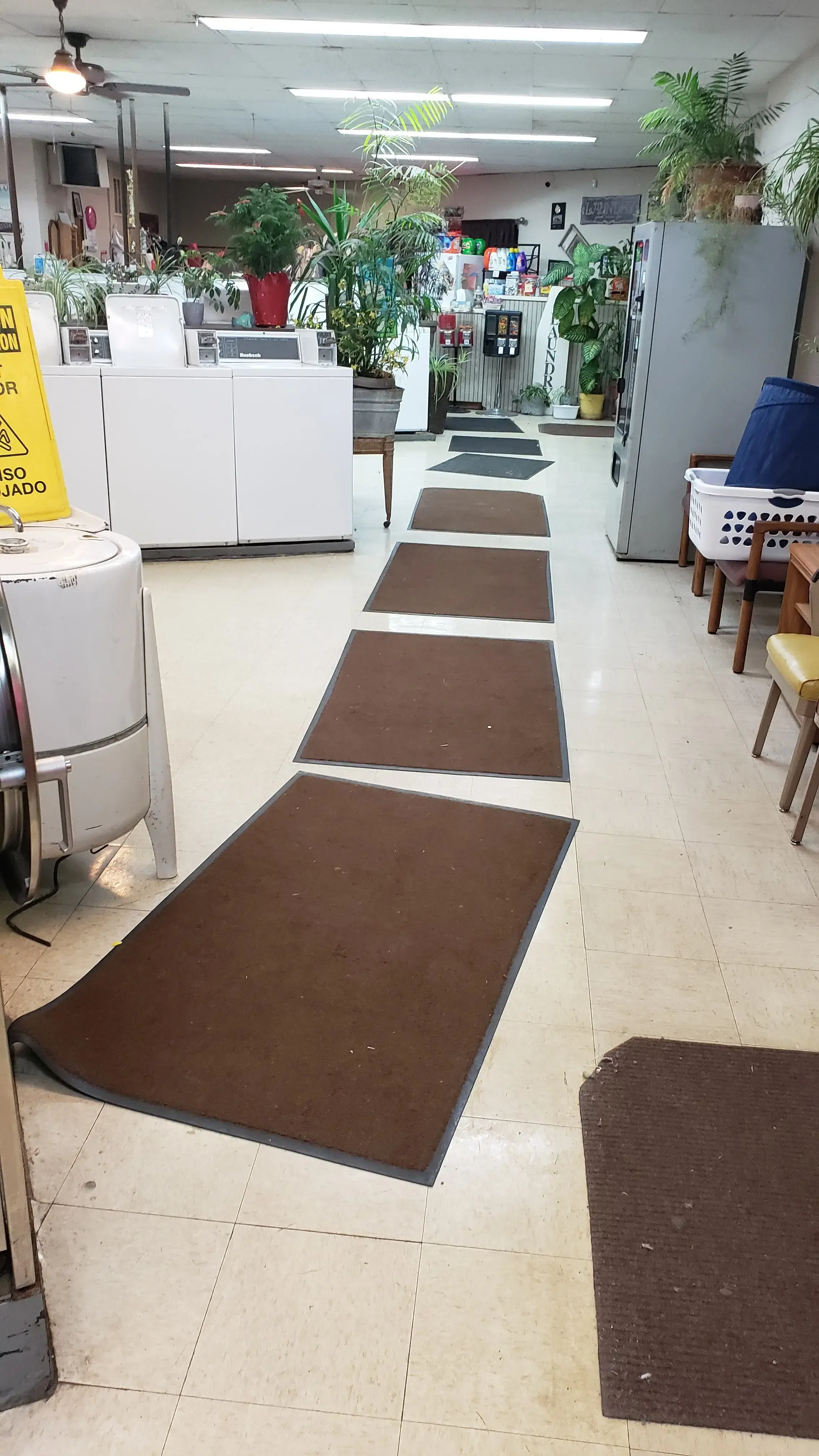 Giant Laundry - Image 4