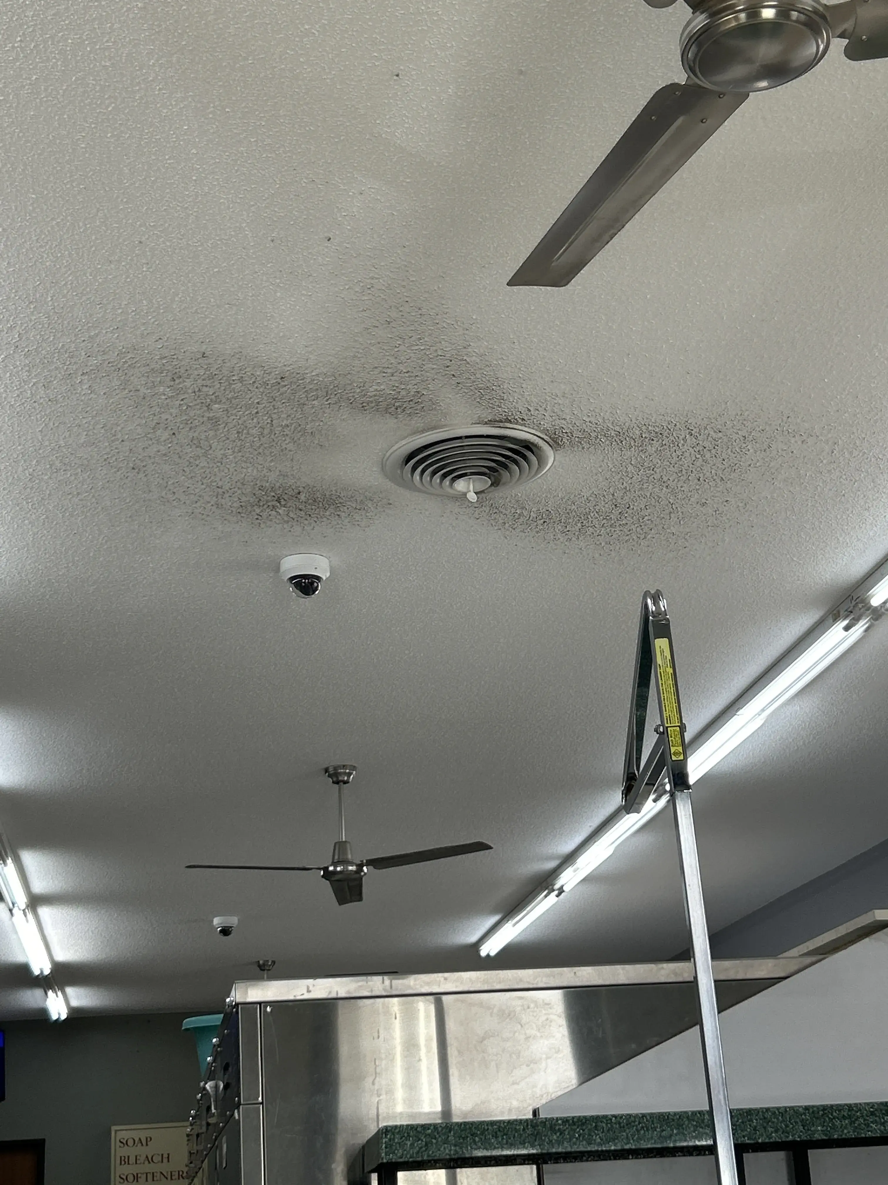 Giant Wash - Image 7