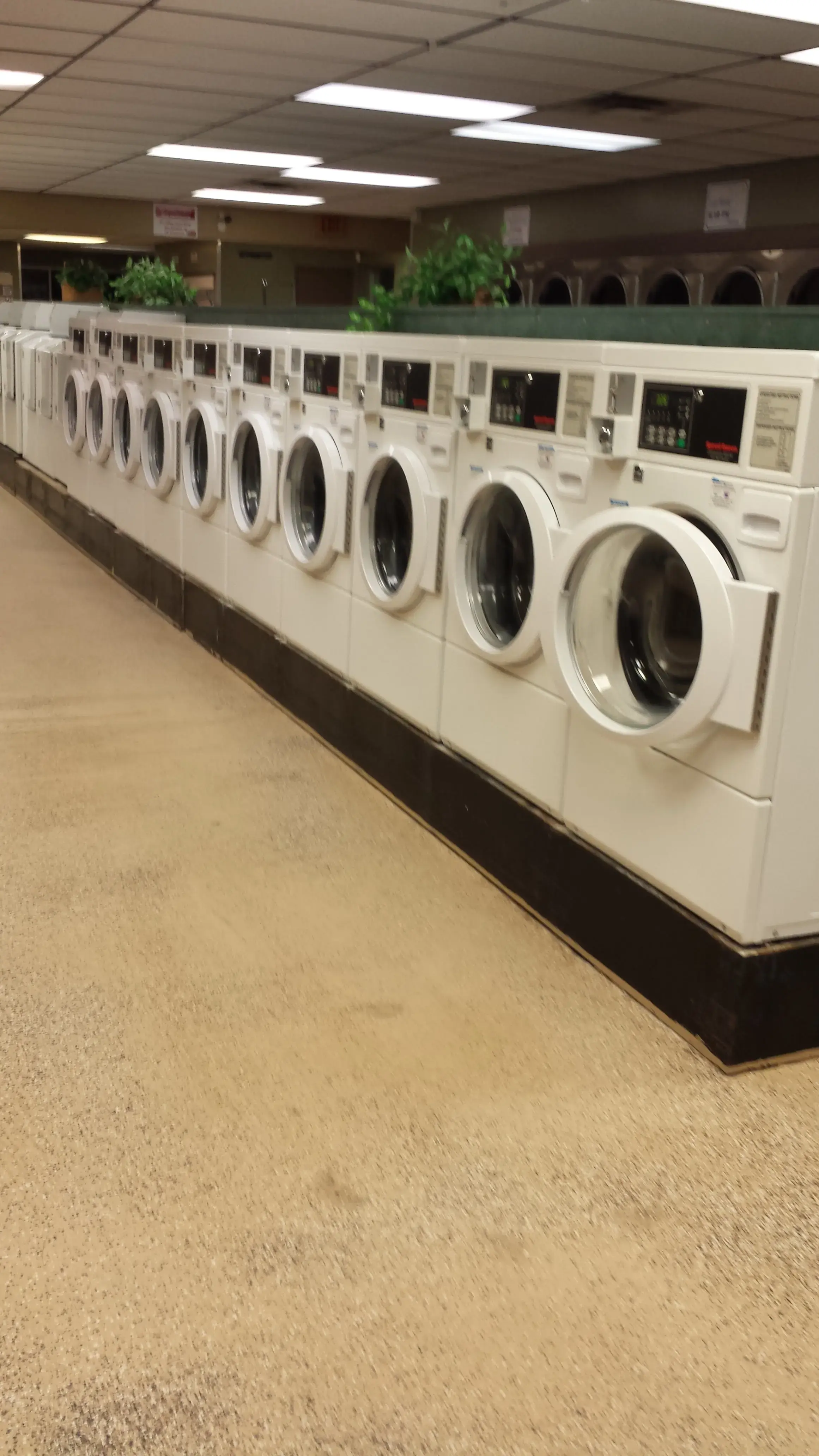 Giant Wash Coin Laundry thumbnail 4