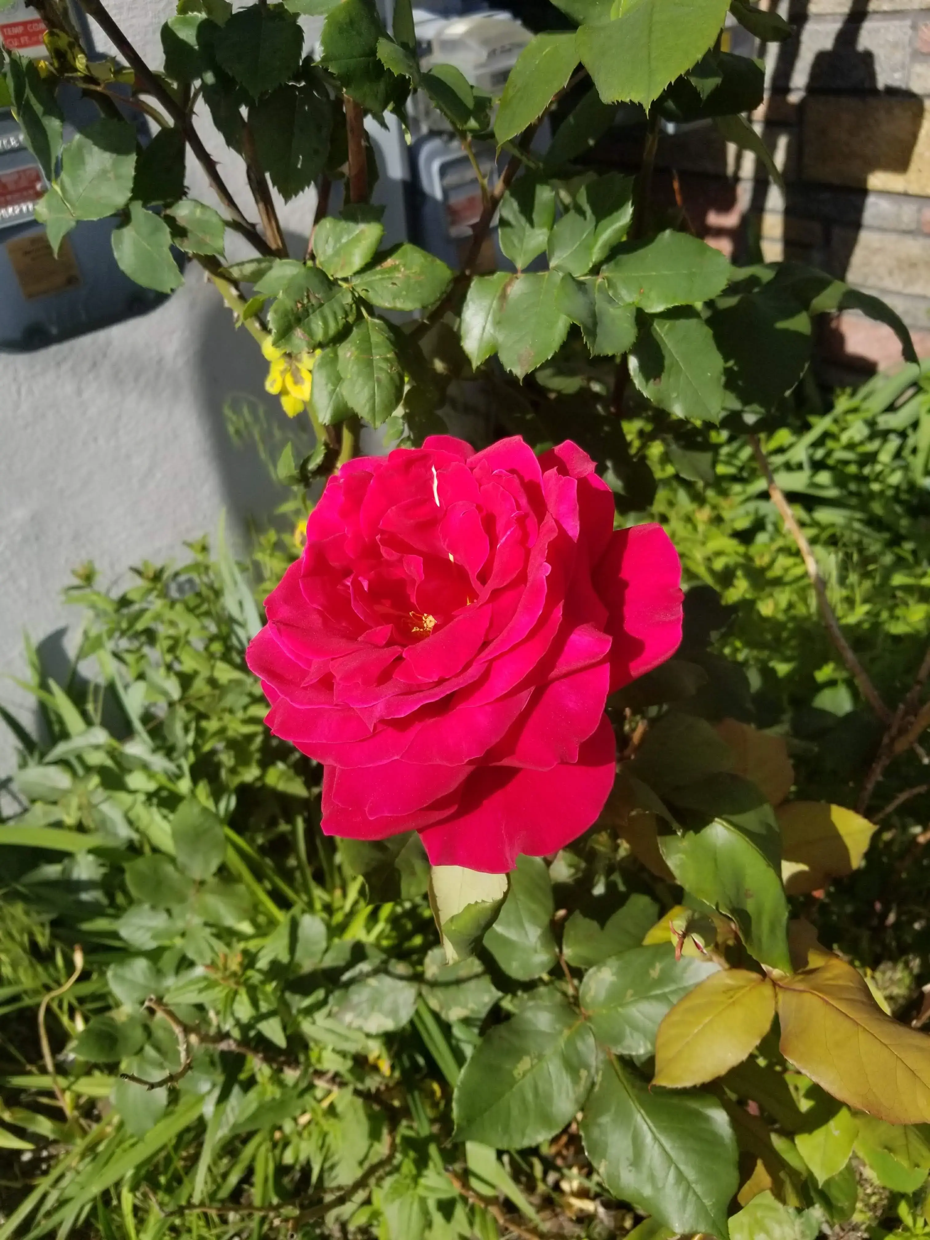 GIGI'S LAUNDROMAT thumbnail 4