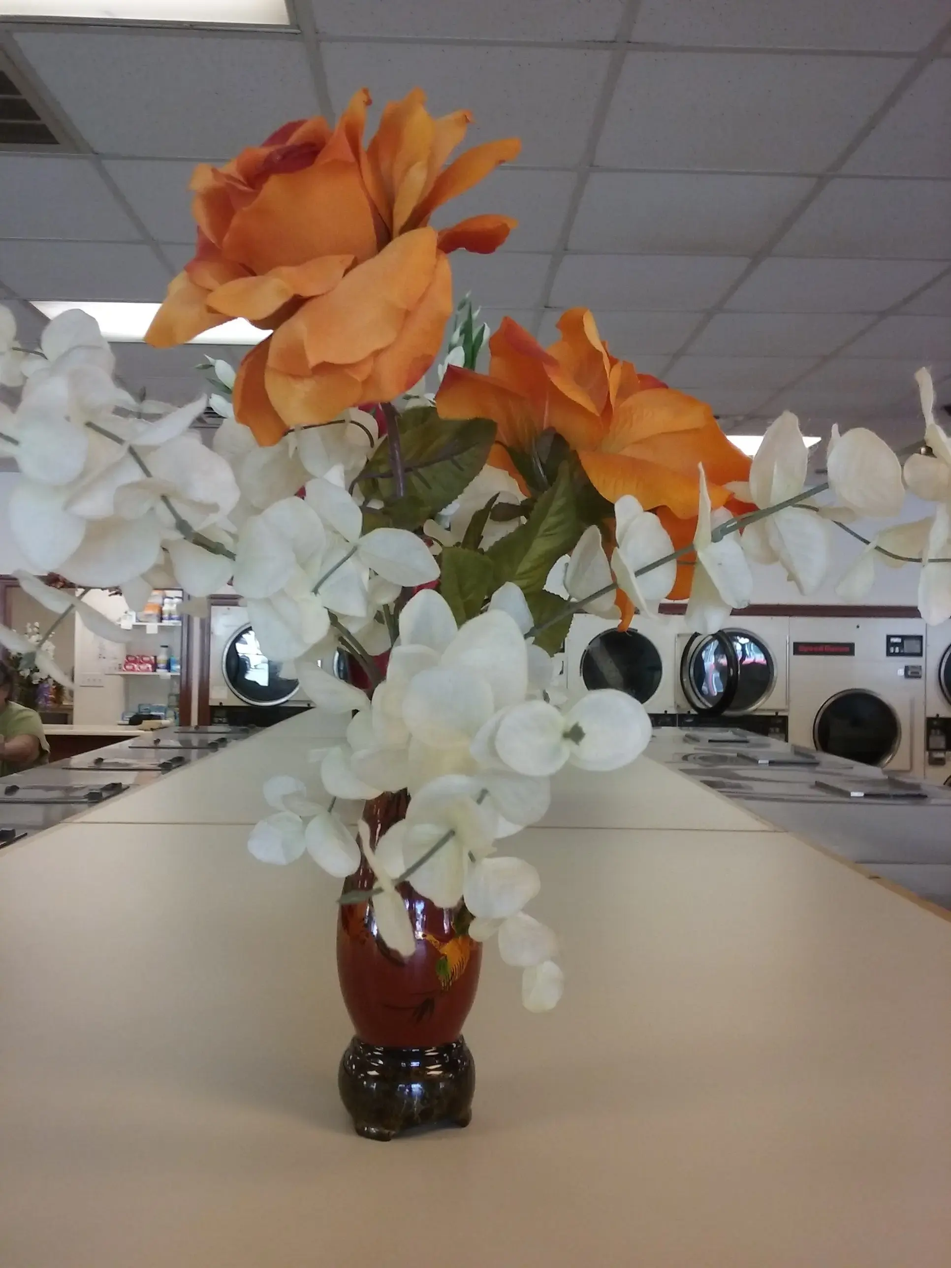 Gloucester U-Do-It Laundry thumbnail 11