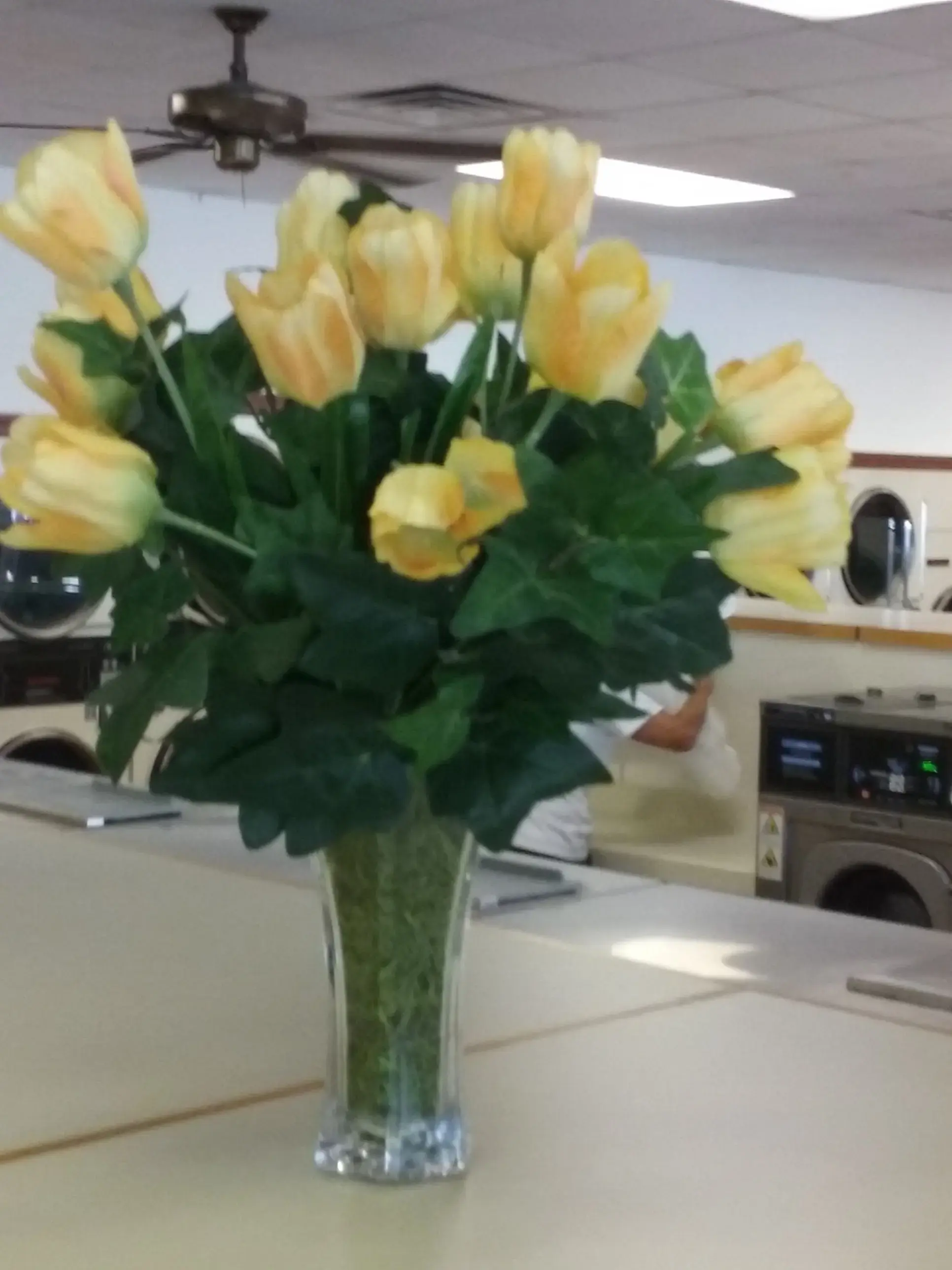 Gloucester U-Do-It Laundry - Image 14