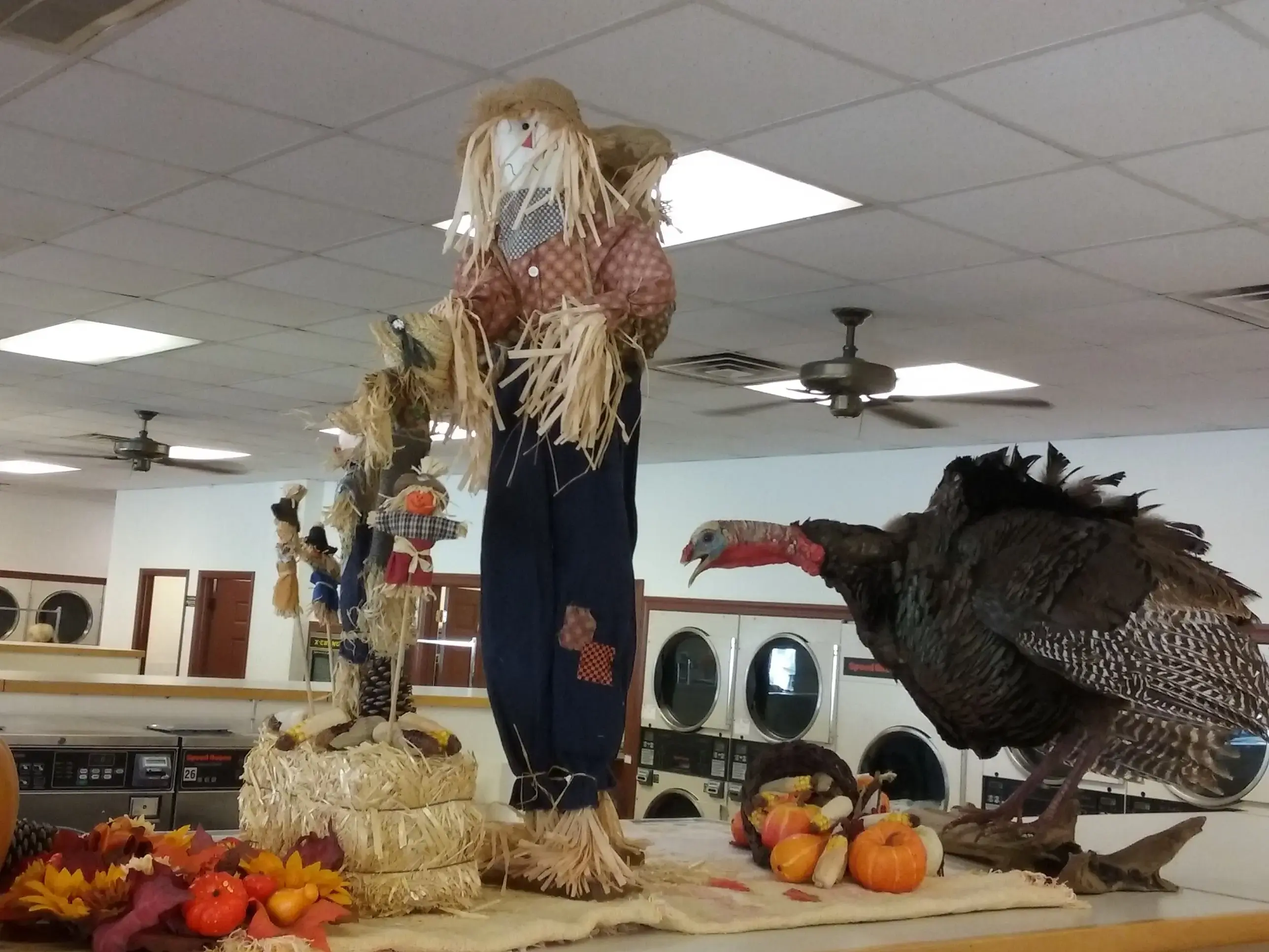 Gloucester U-Do-It Laundry - Image 3