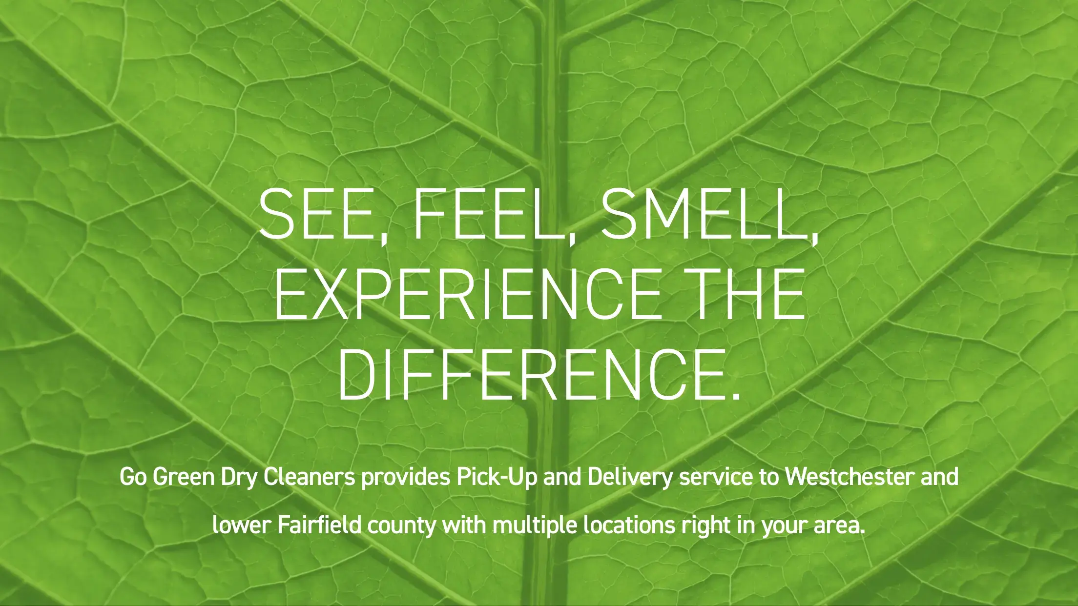 Go Green Dry Cleaners - Image 5