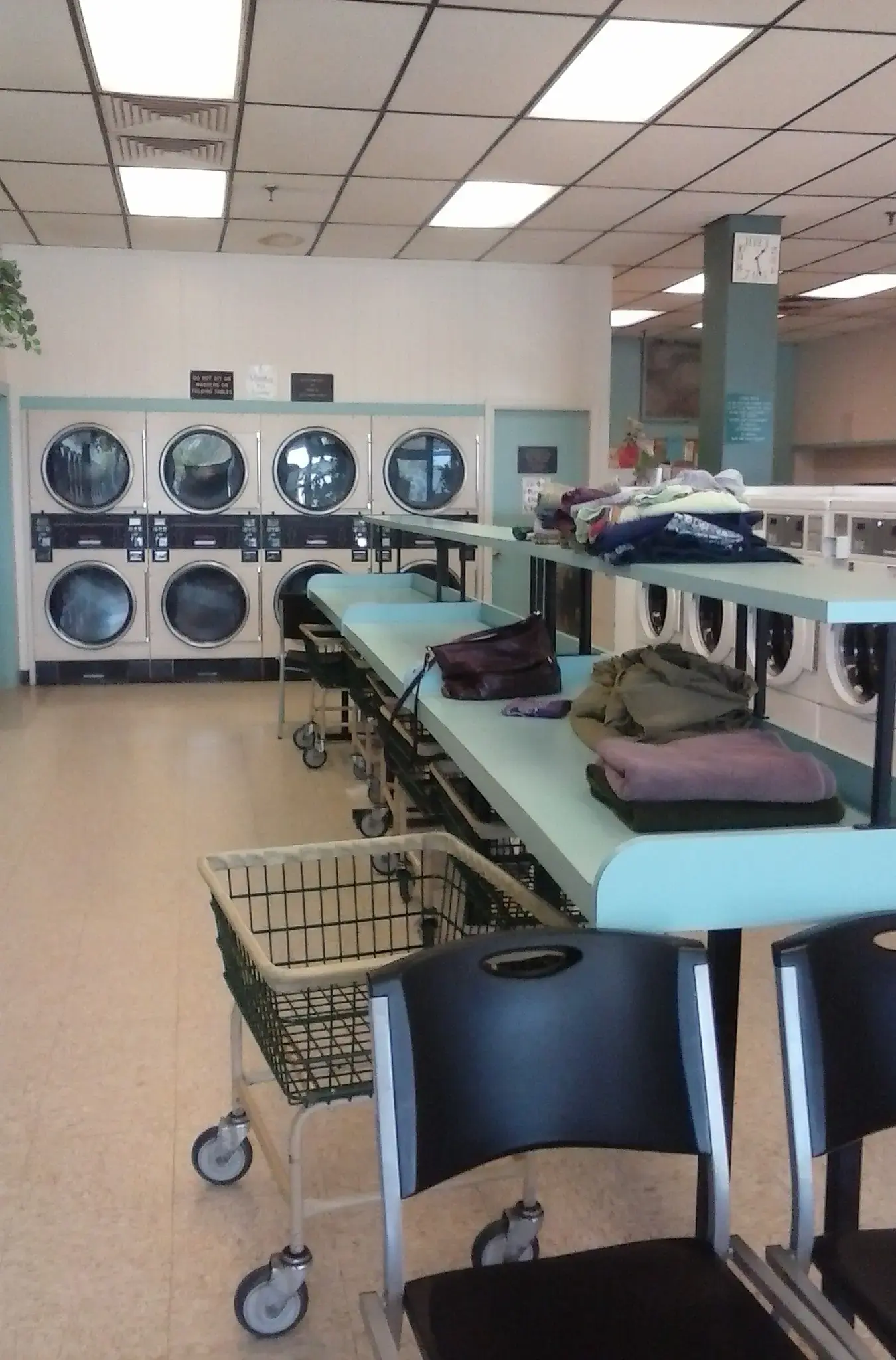 Gold Star Cleaners - Image 7