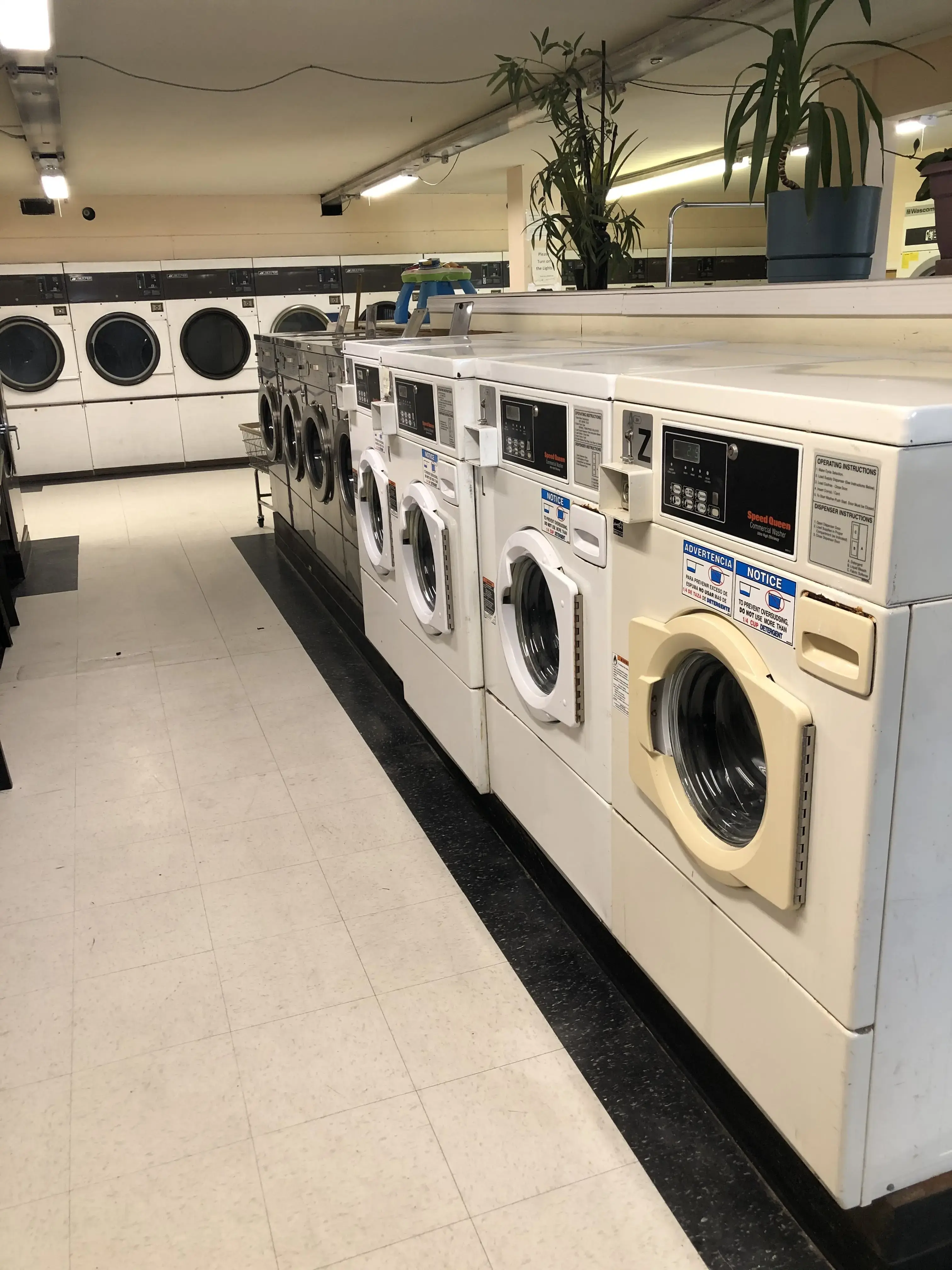 Golden Coin Laundry thumbnail 5