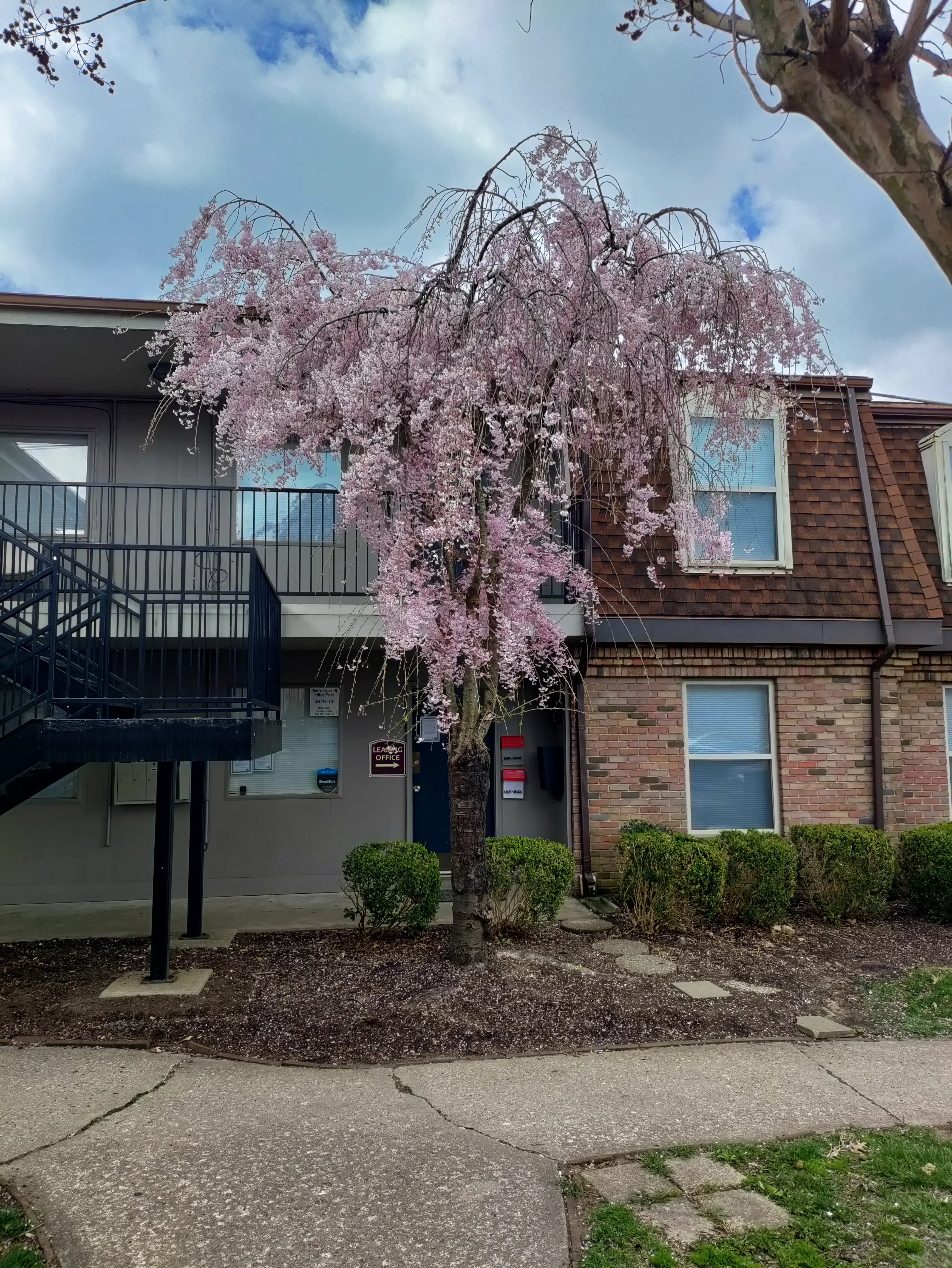 Golden Wash Laundromat - Image 15