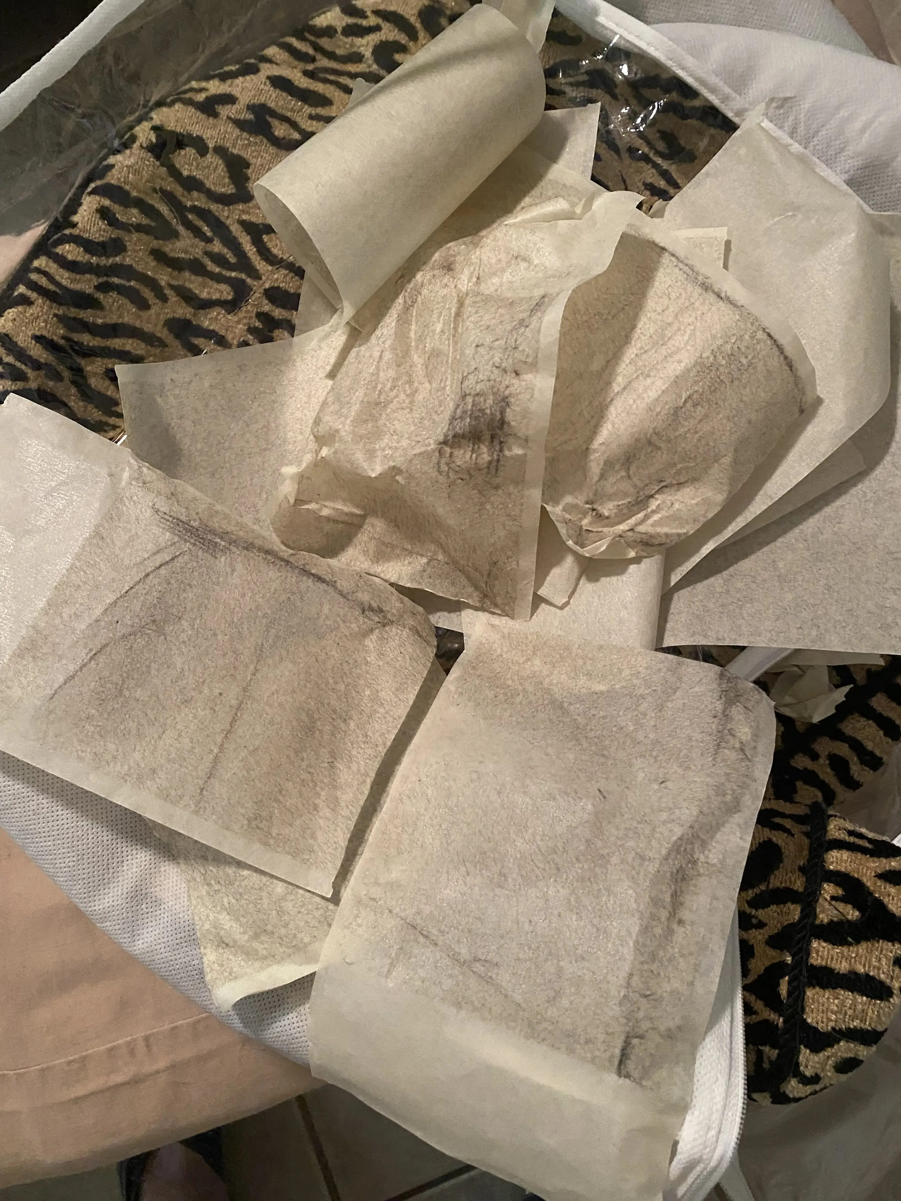 GQ NCF CLERMONT CLEANERS INC - DRY CLEANERS thumbnail 10