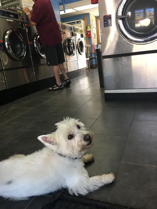 Grand Lake Laundromat thumbnail 9