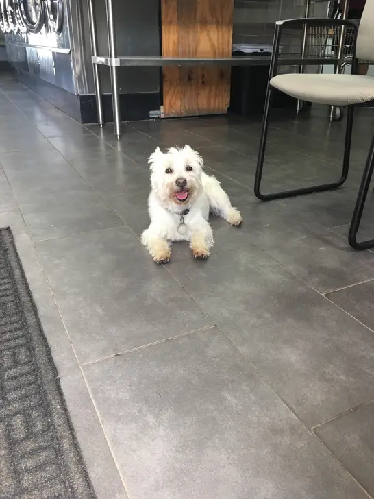 Grand Lake Laundromat - Image 6