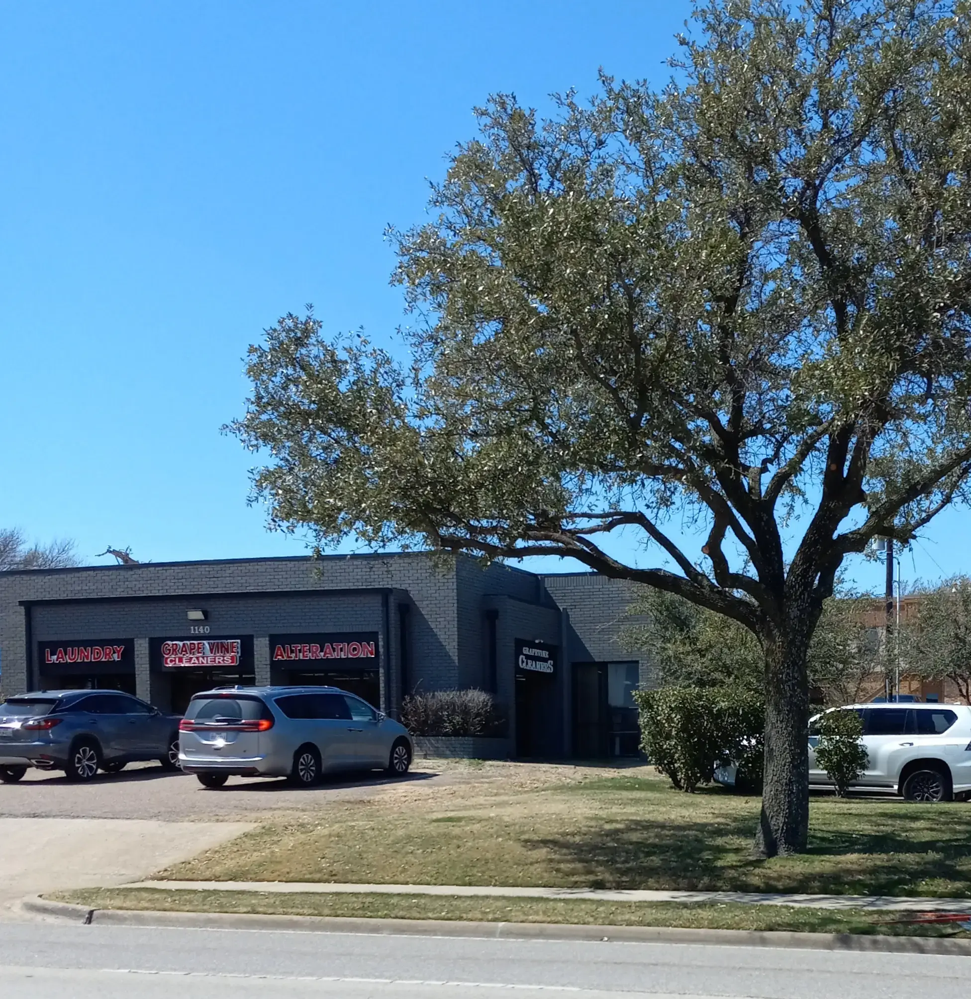 Grapevine Cleaners - Image 1