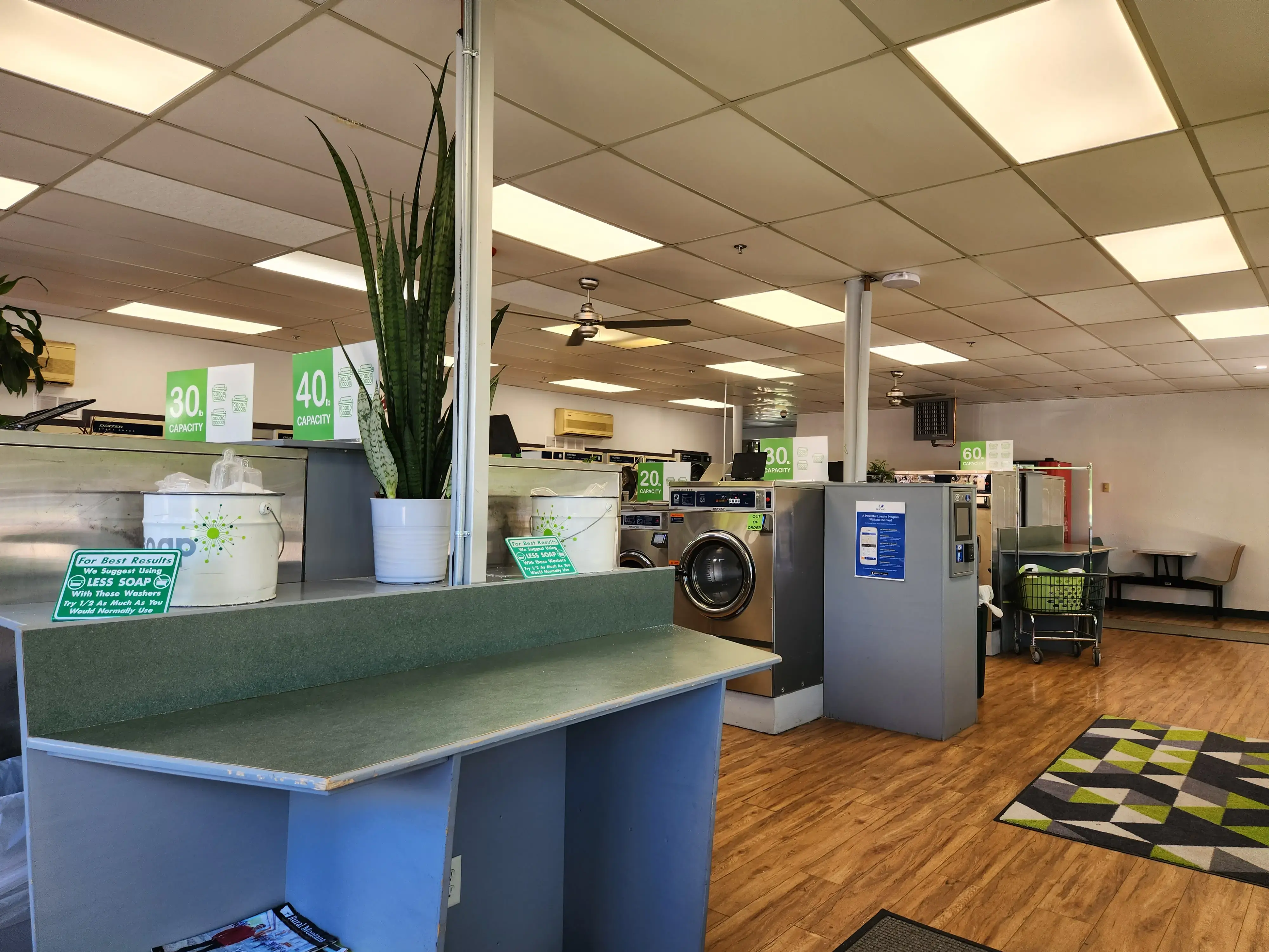 Green Hanger - Image 12