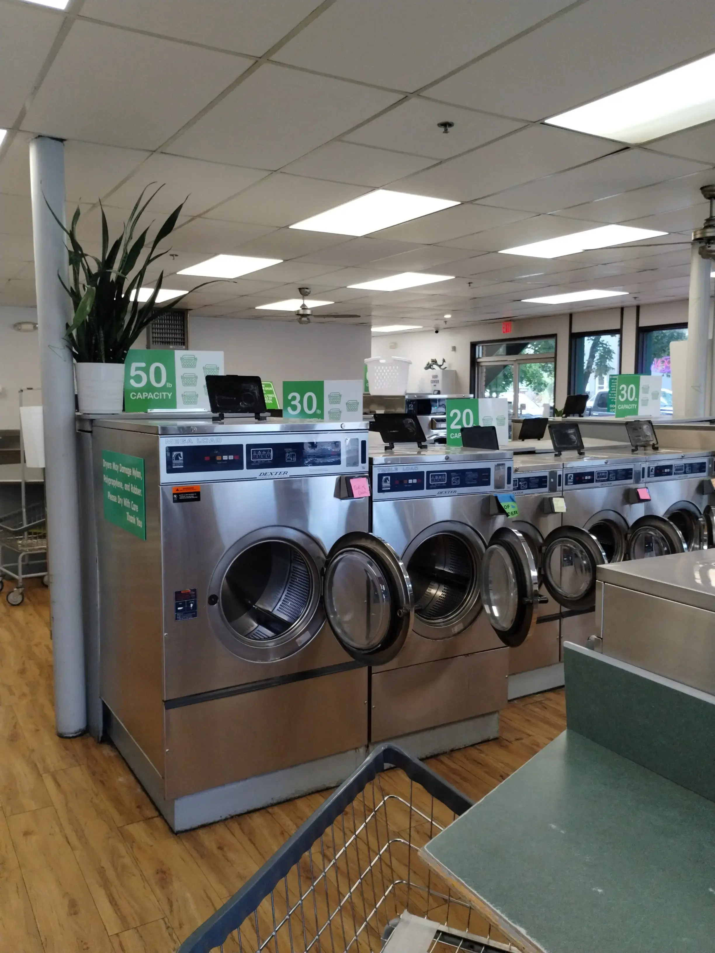 Green Hanger - Image 15