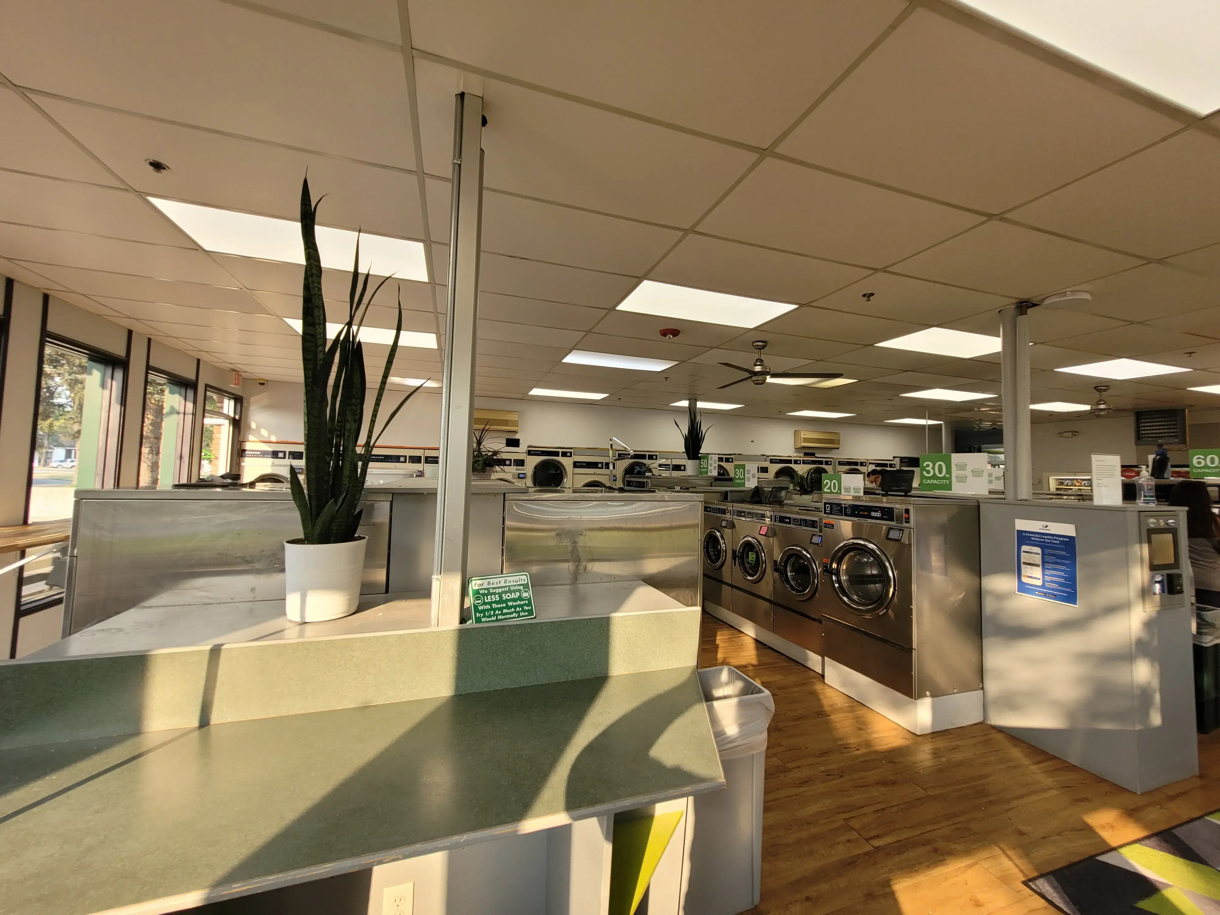 Green Hanger - Image 3