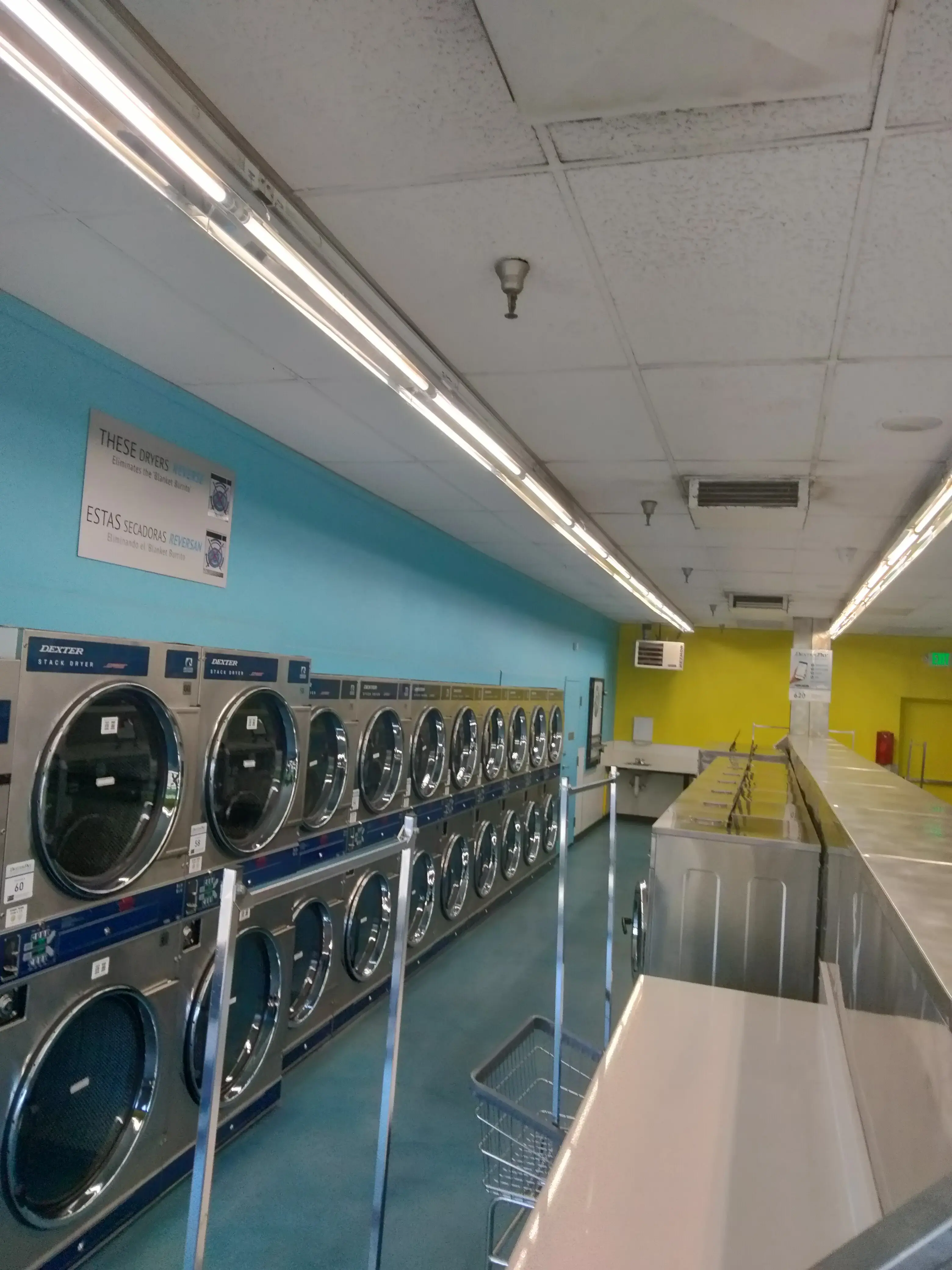 Greenback Coin Wash thumbnail 19