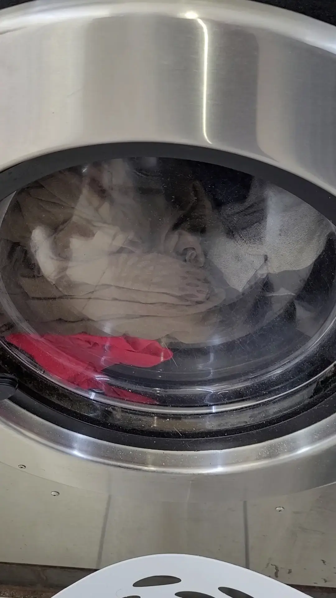 Gulf Breeze Coin Laundry - Image 17