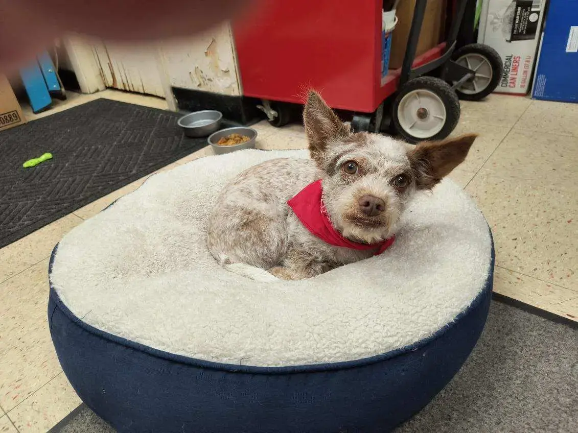 Halls Coin Laundry - Knoxville - Image 16