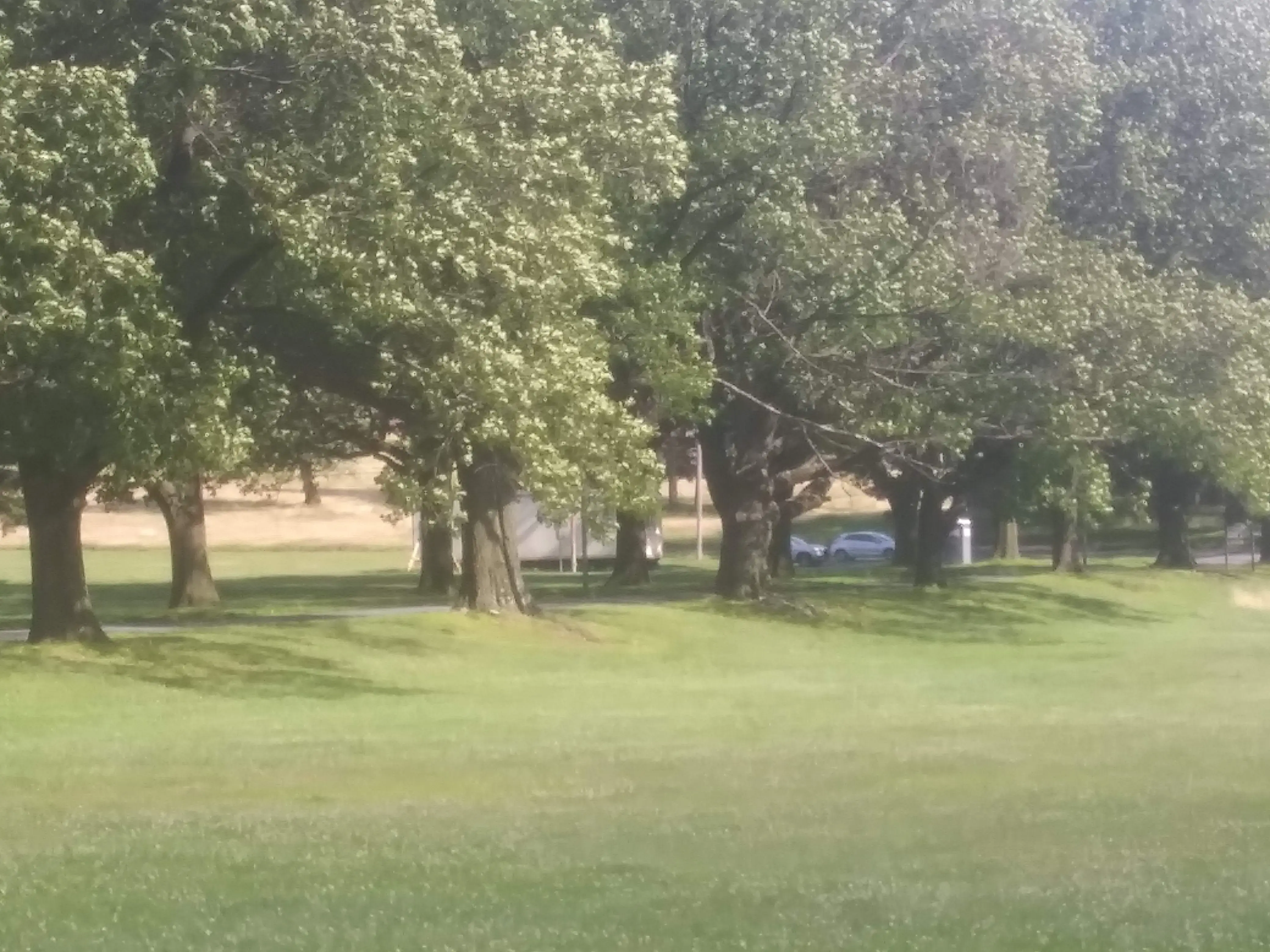 Hanover Avenue Coin Laundry - Image 13