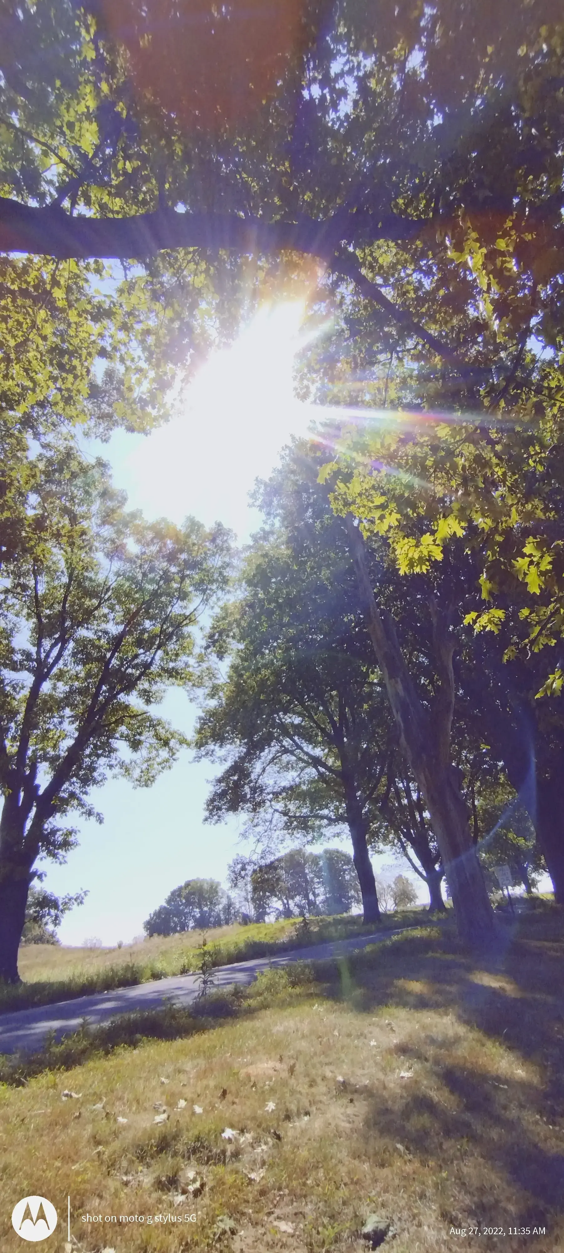 Hanover Avenue Coin Laundry thumbnail 5