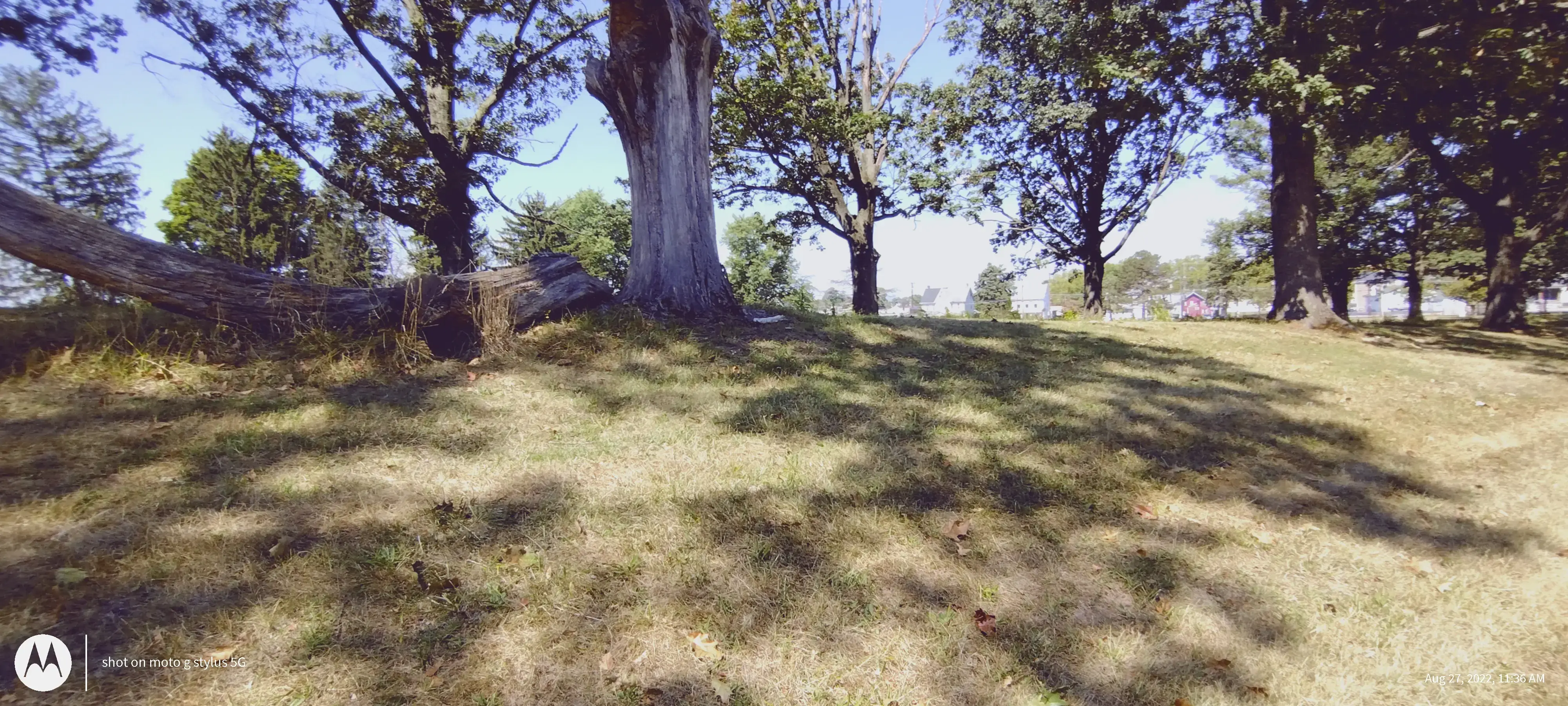 Hanover Avenue Coin Laundry - Image 15