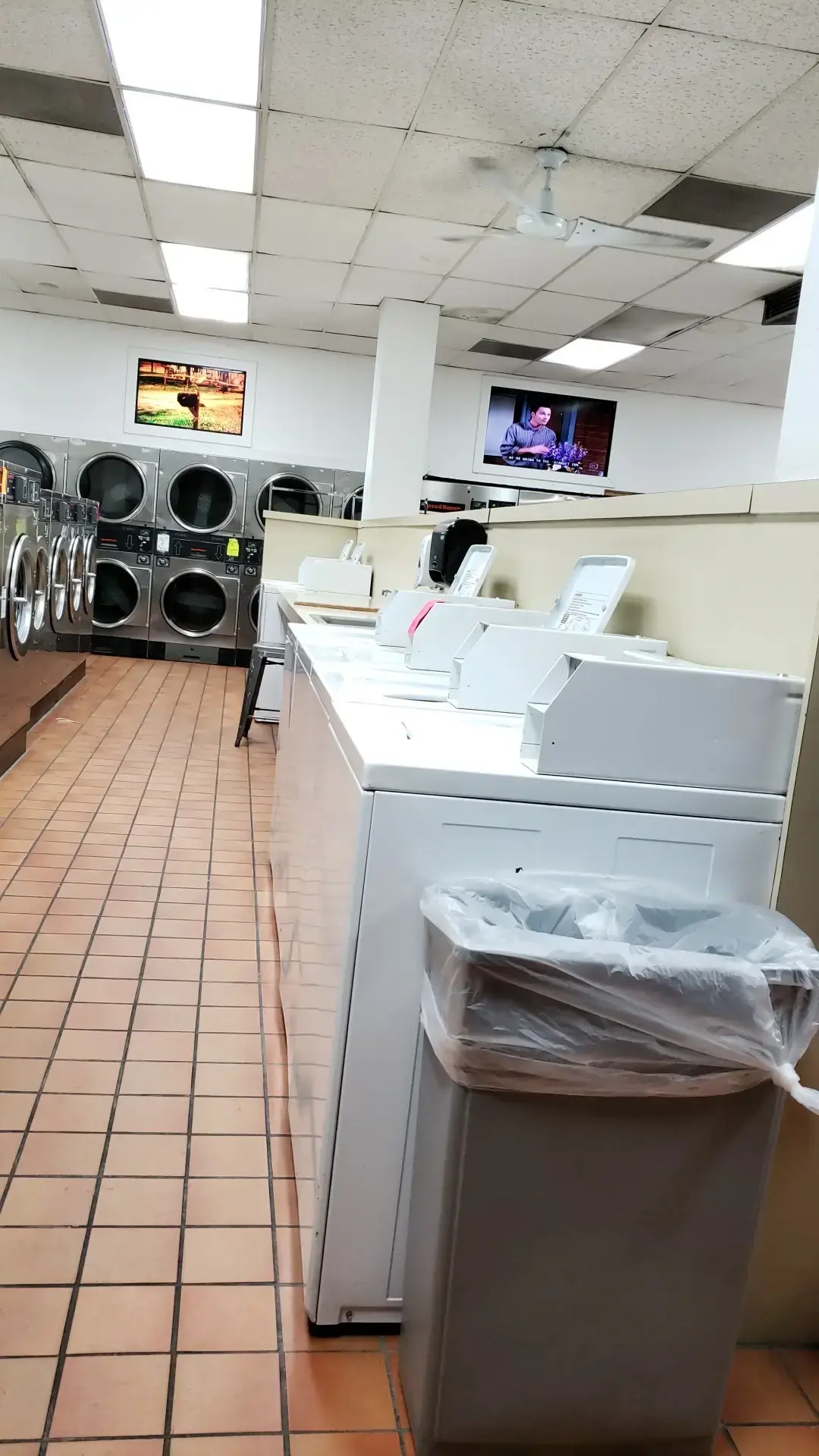 Happy Laundry Company - Image 15