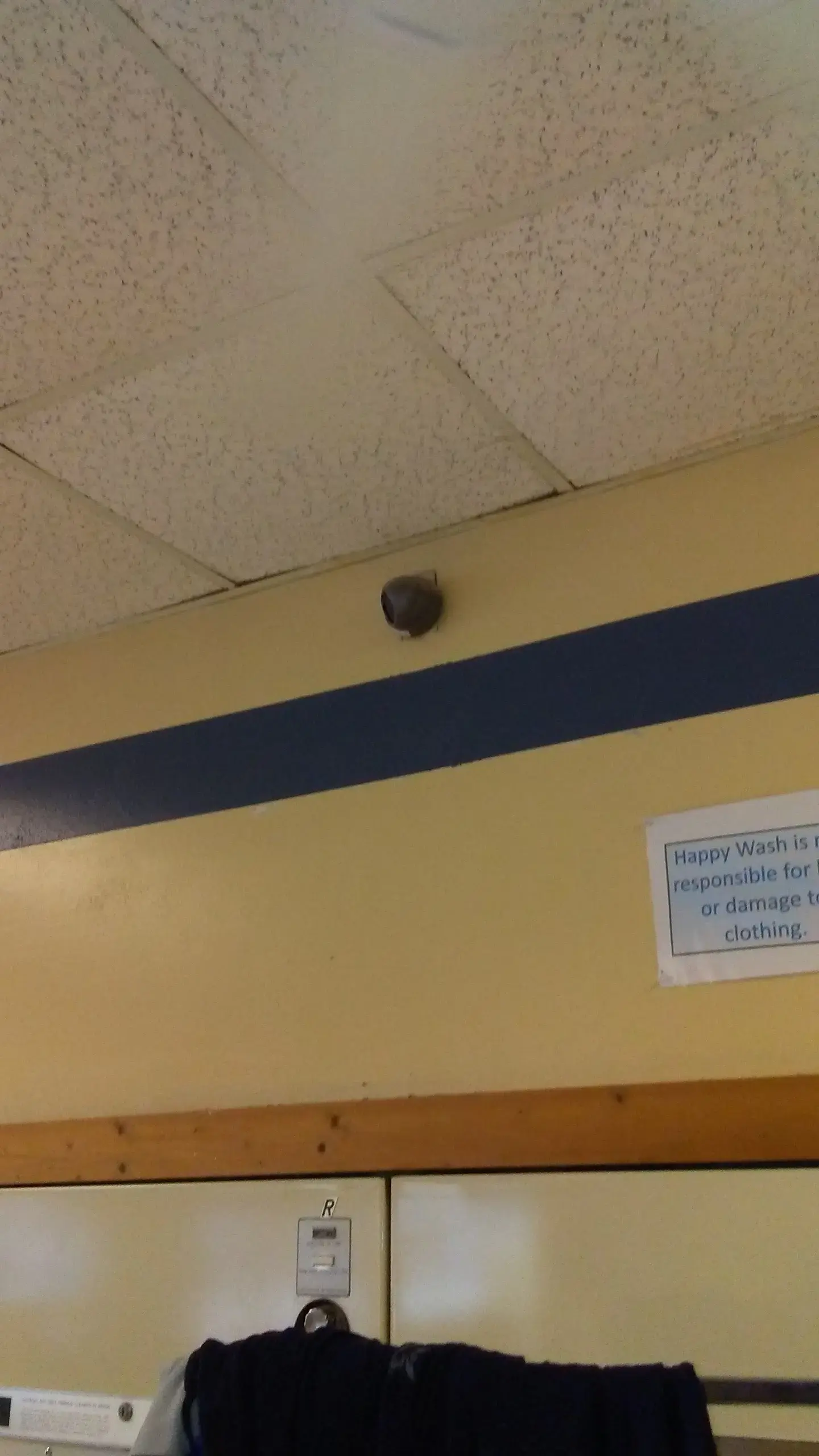 Happy Wash Laundry thumbnail 3