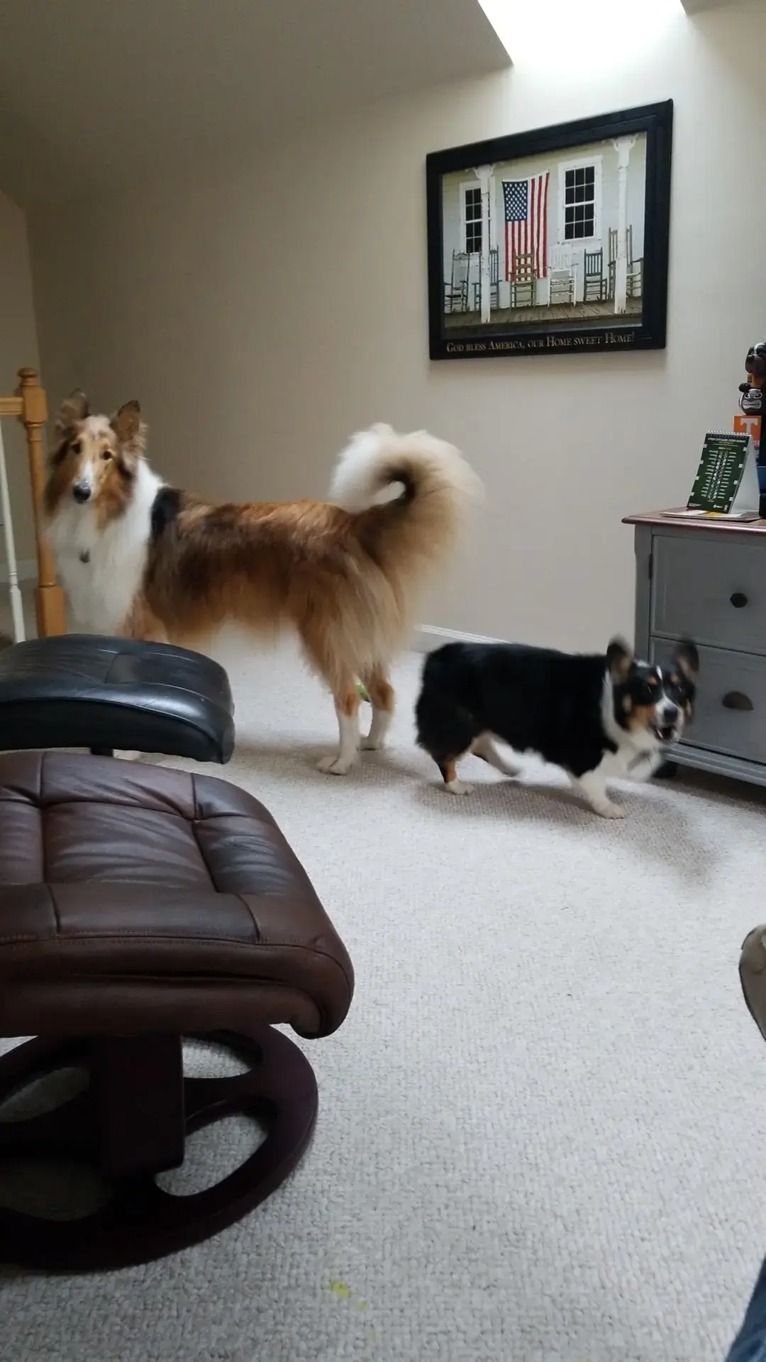 Harbour Laundry Systems thumbnail 8