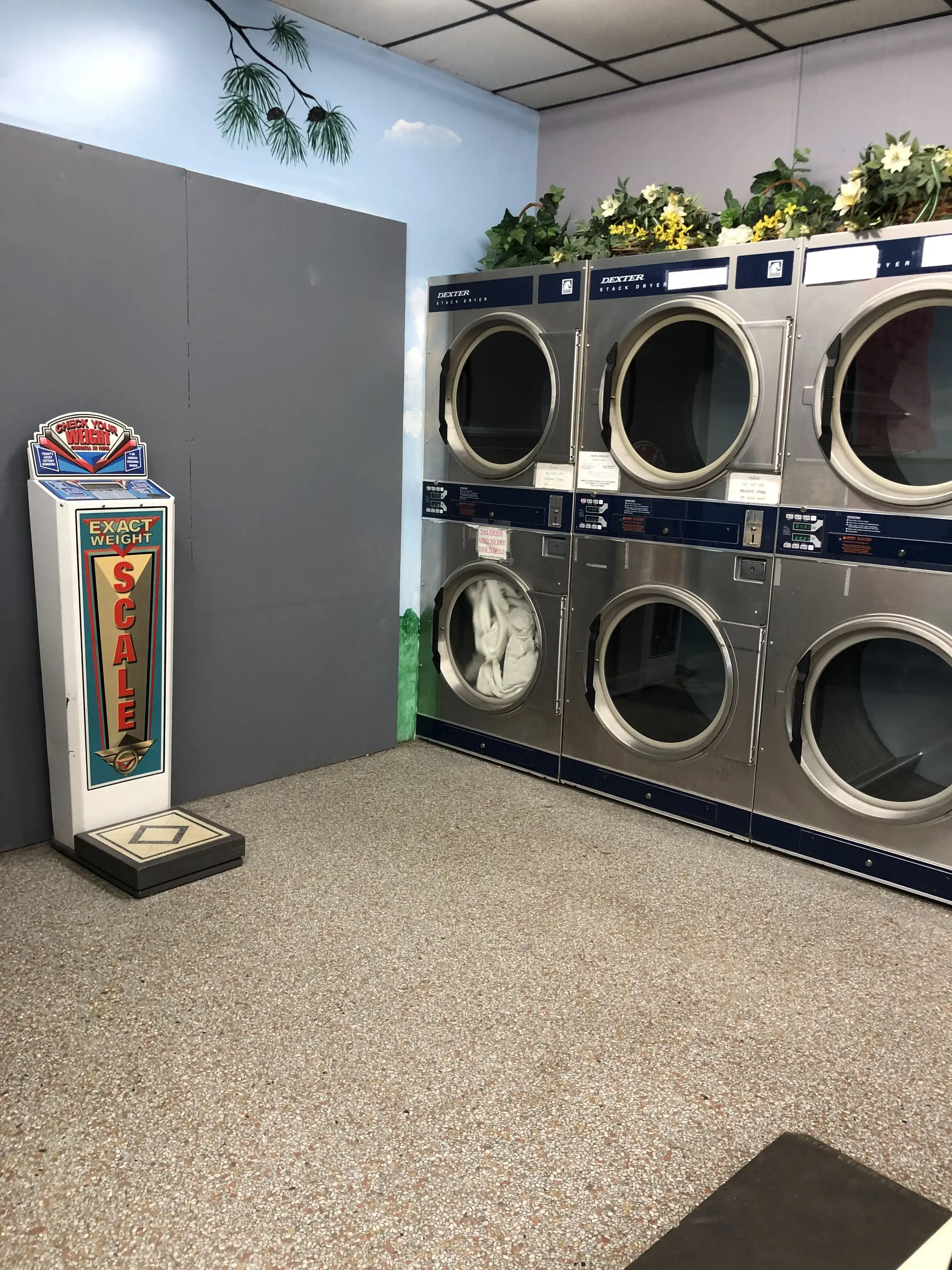 Harbour Laundry Systems - Image 1