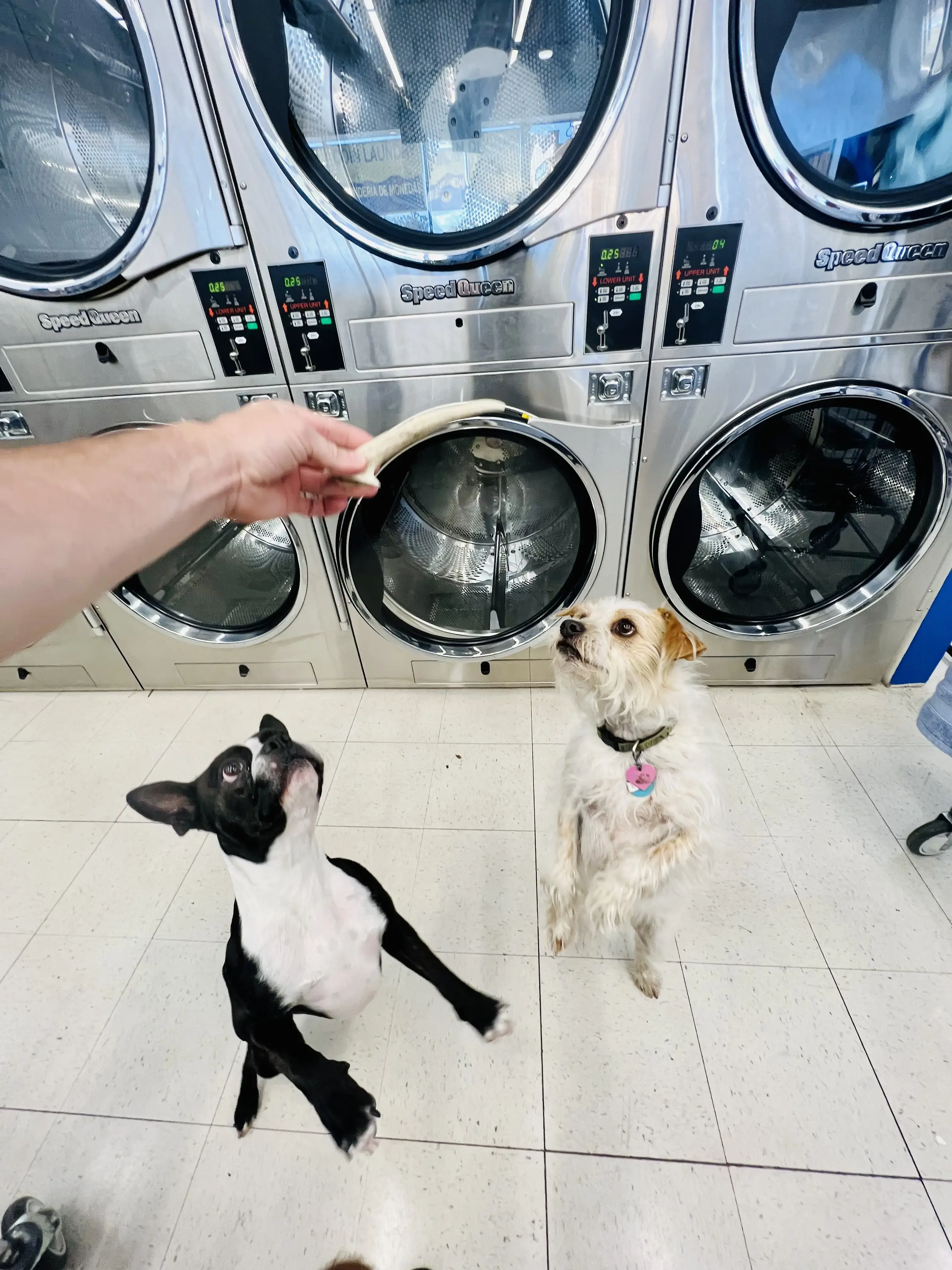 Highlander Coin Laundry - Image 7