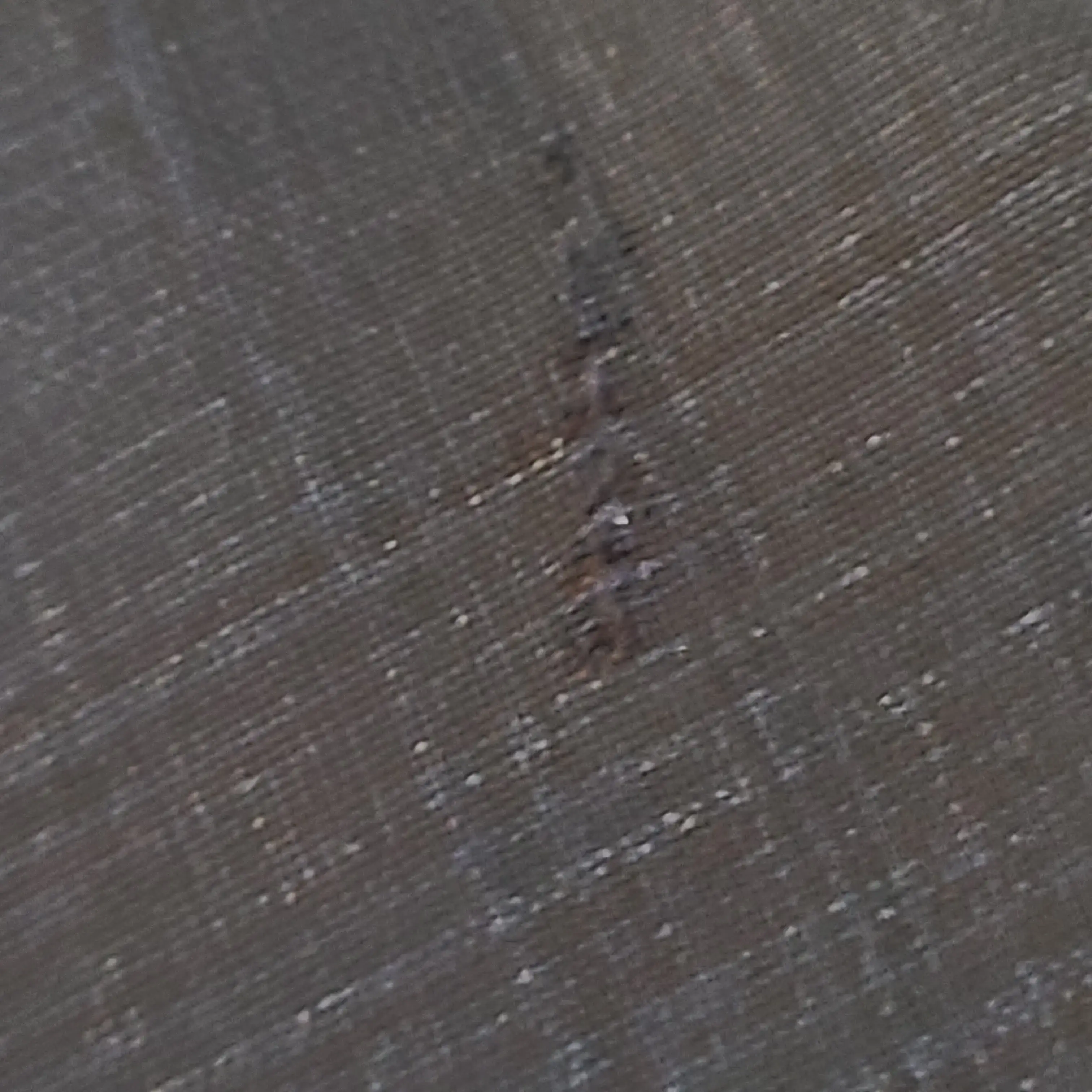 Hill Park Cleaners thumbnail 16