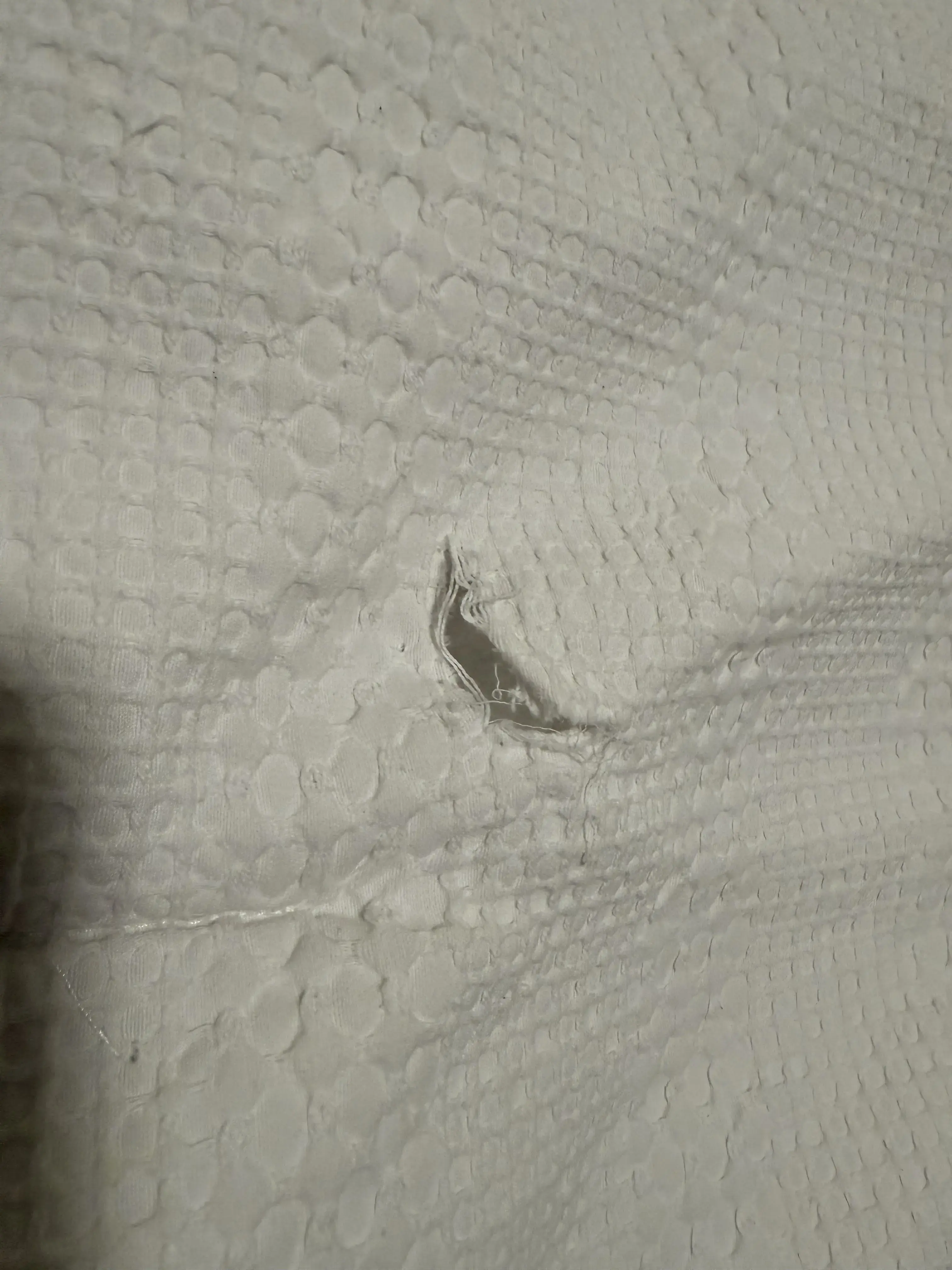 Hill Park Cleaners - Image 15
