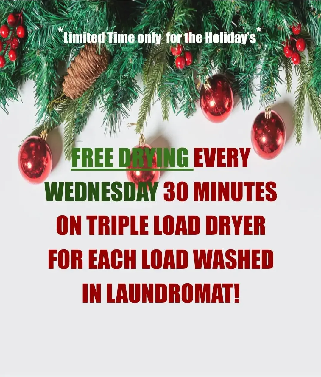 Holiday Plaza Laundromat - Image 17