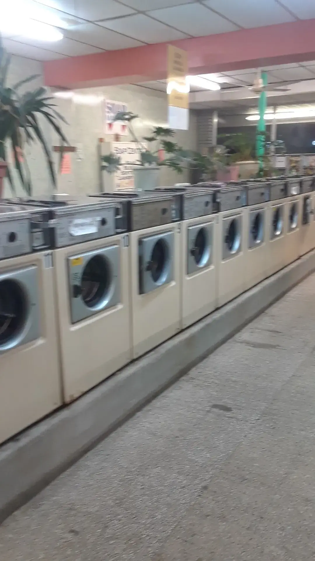 Holland's Laundromat 24 Hours (on Weekends!) - Image 18