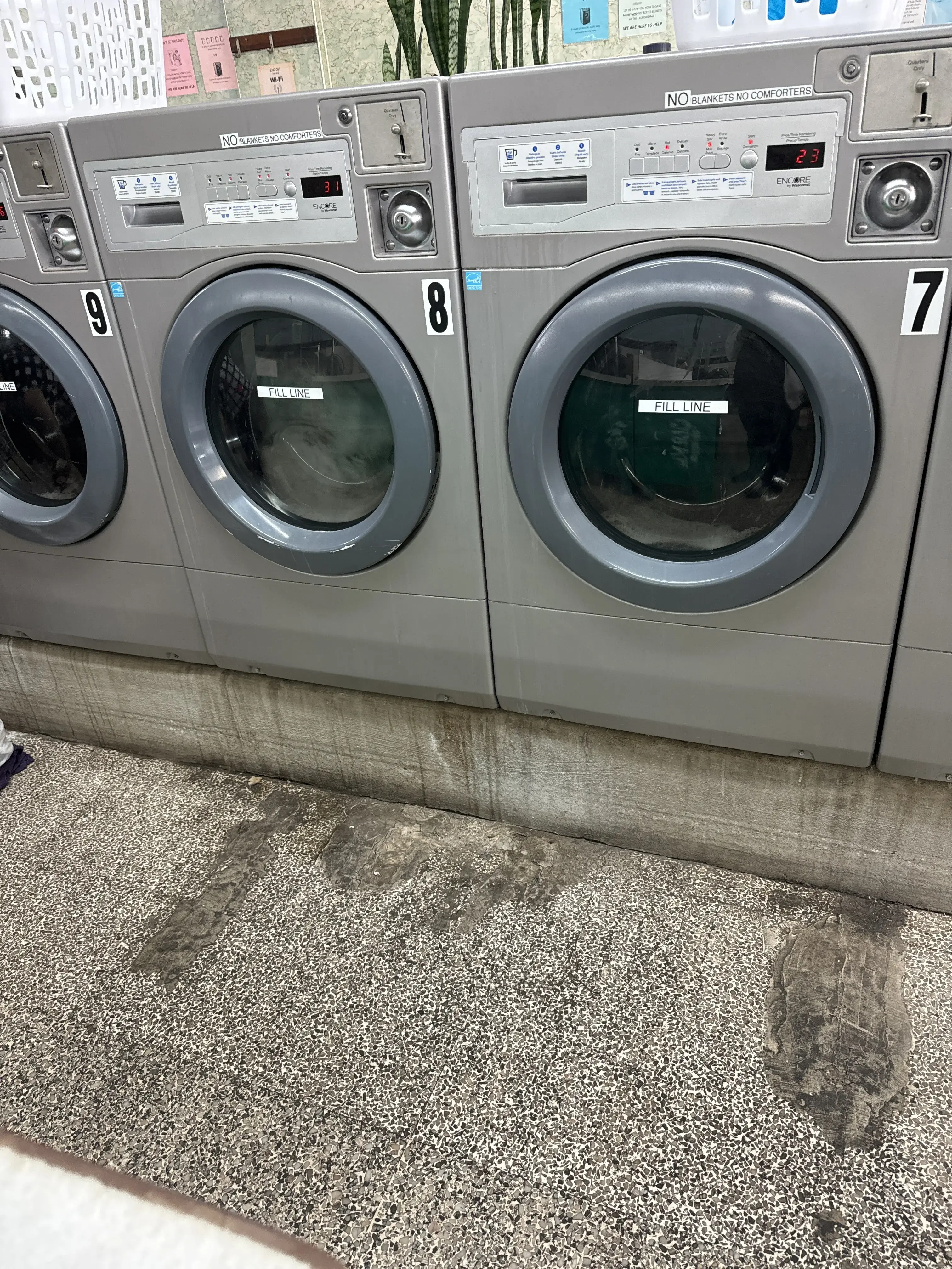 Holland's Laundromat 24 Hours (on Weekends!) - Image 2