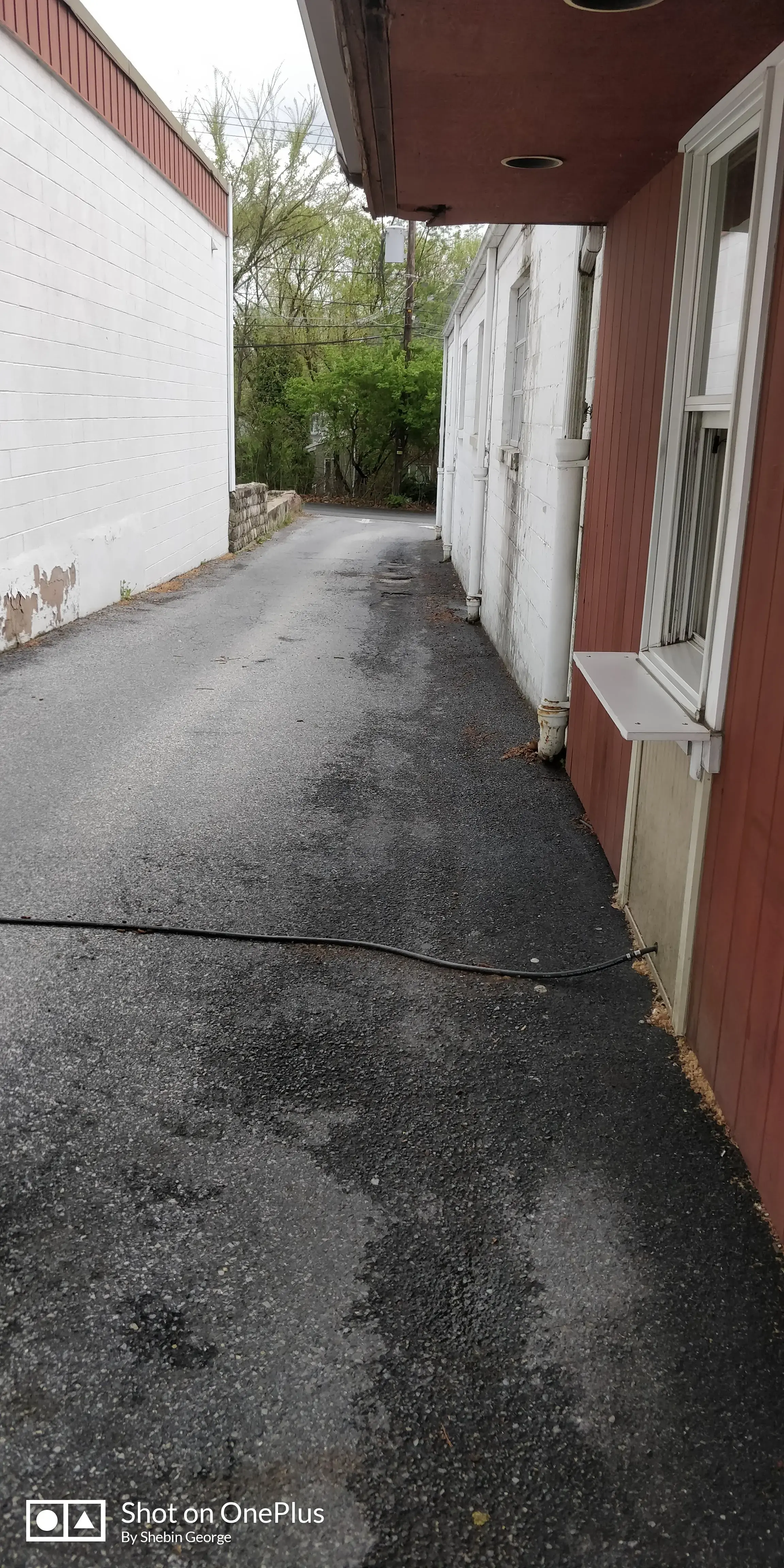 Hollywood Cleaners Ltd - Image 8