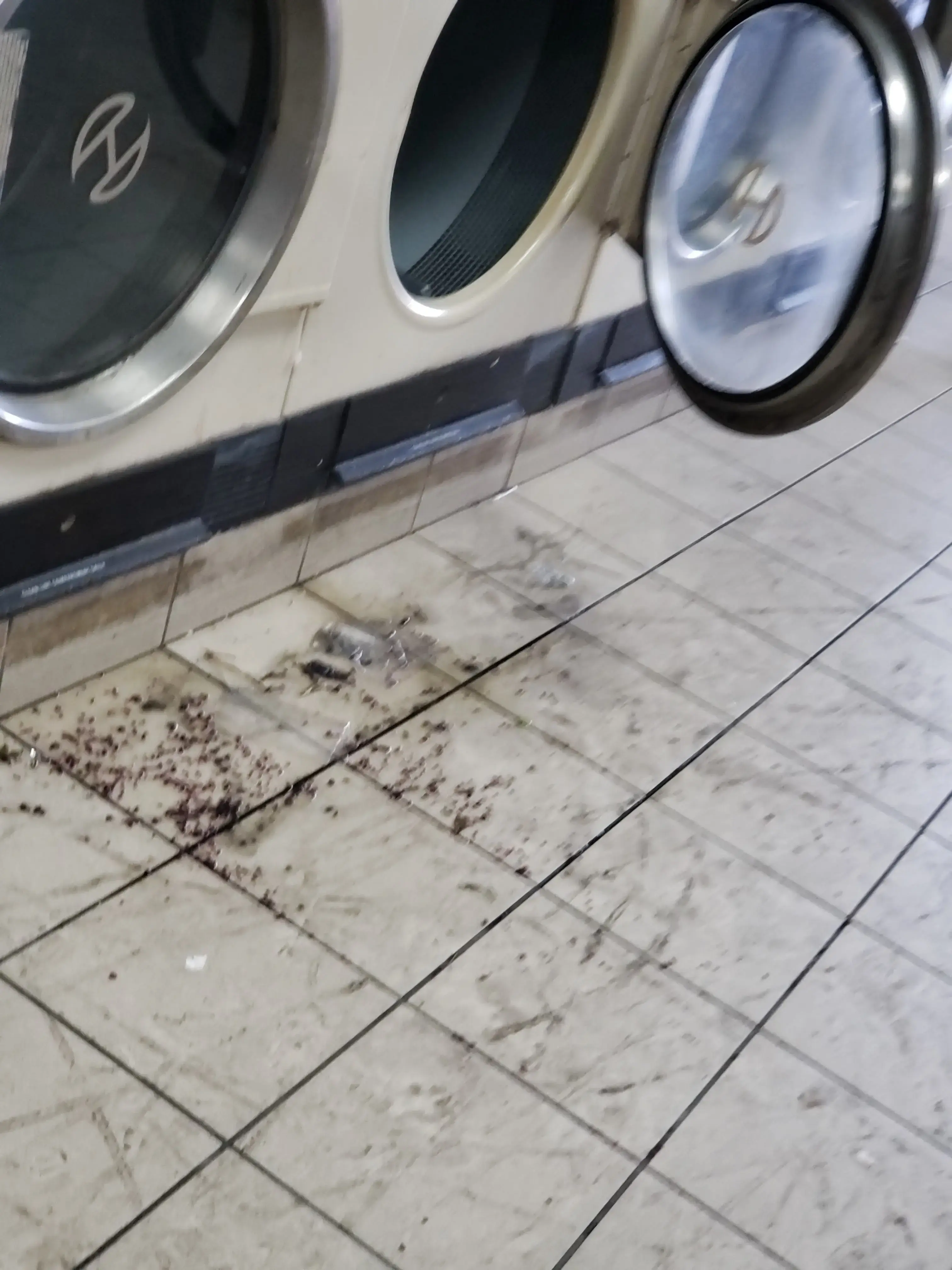 Hollywood Coin Laundry thumbnail 14