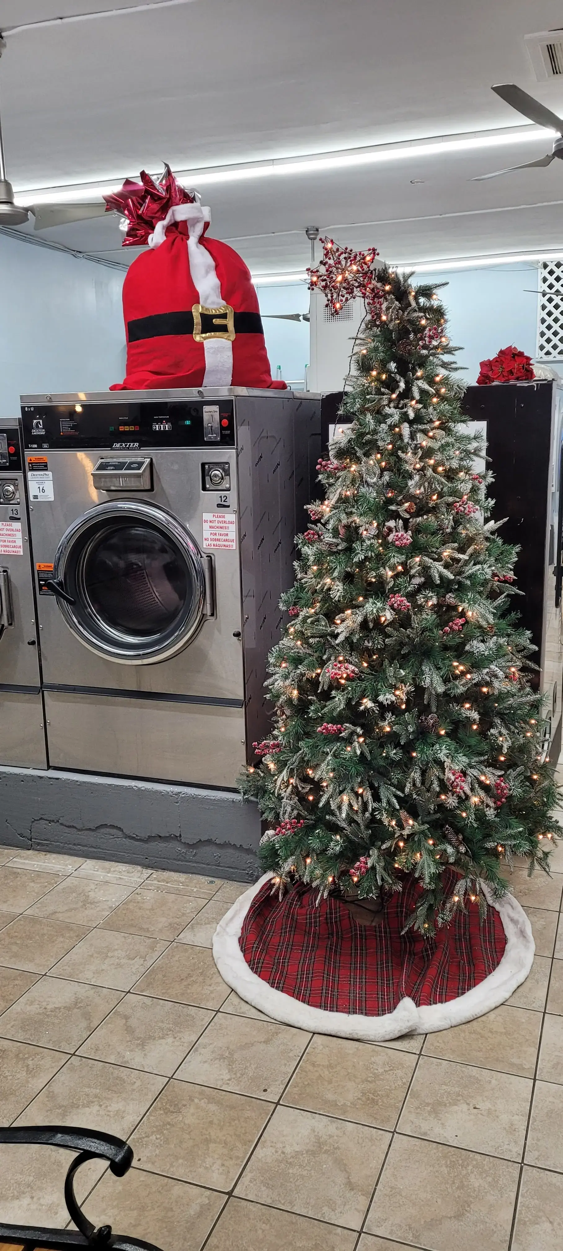 Honey Bee Launderette - Image 9