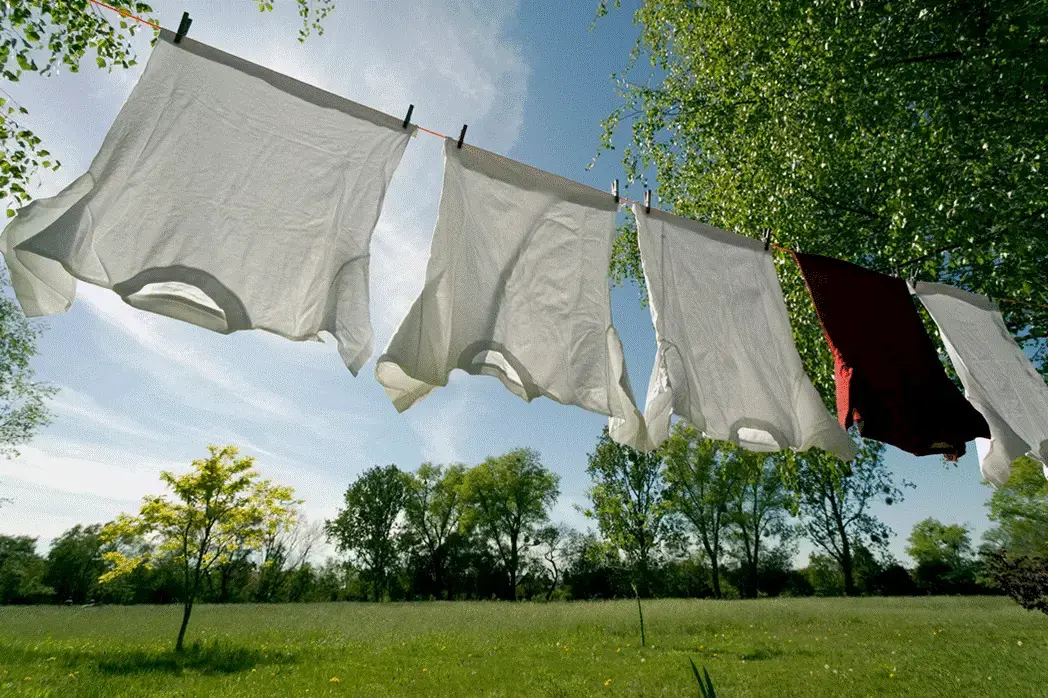 Horrigan Premium Laundromat - Image 1